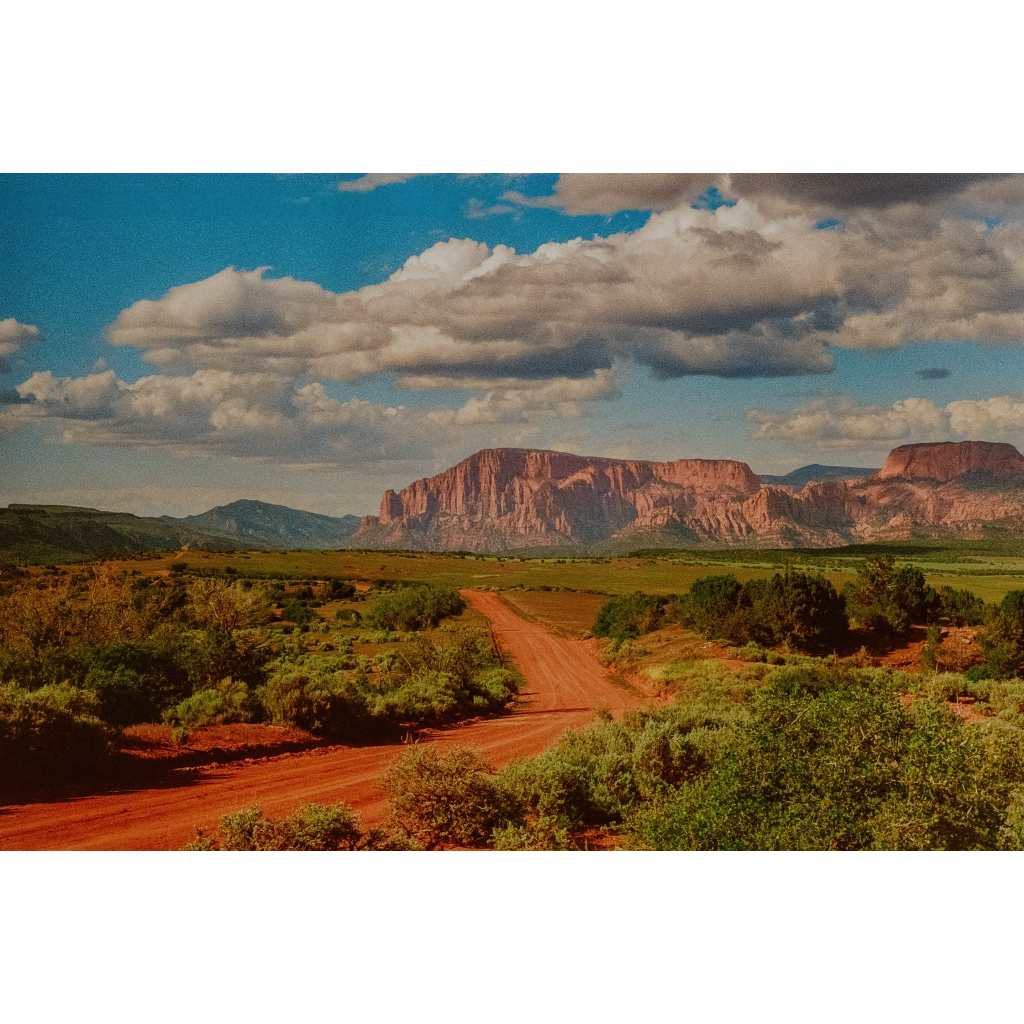 Mesa Views