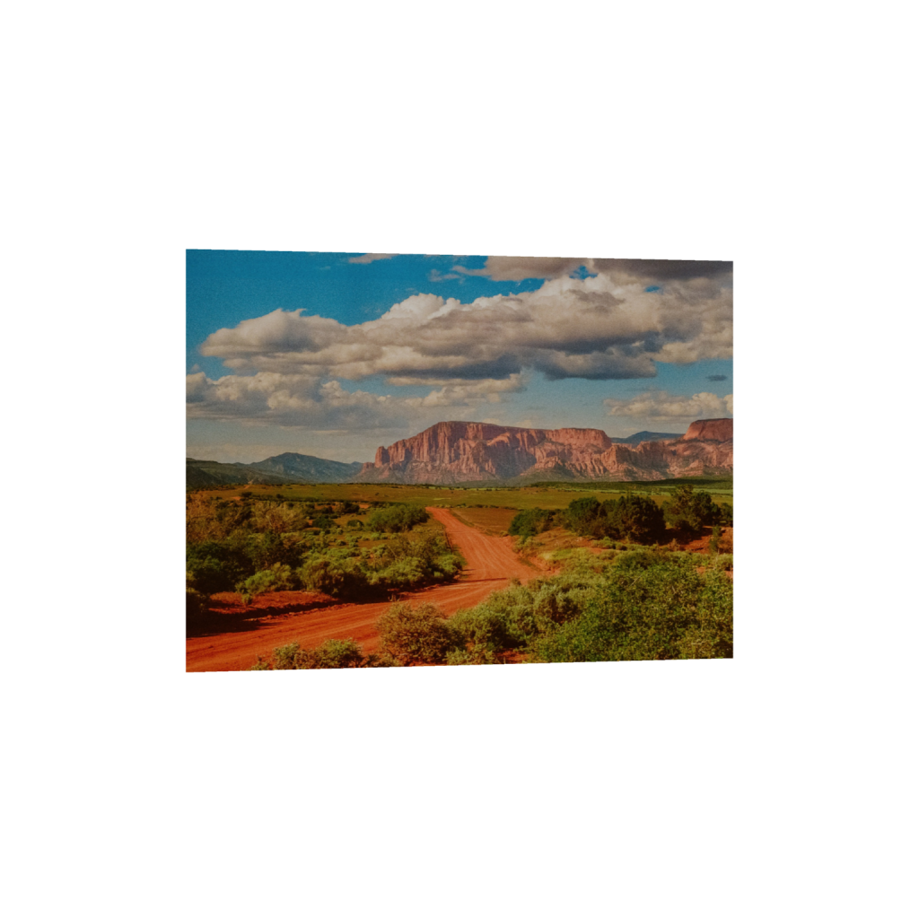 Mesa Views