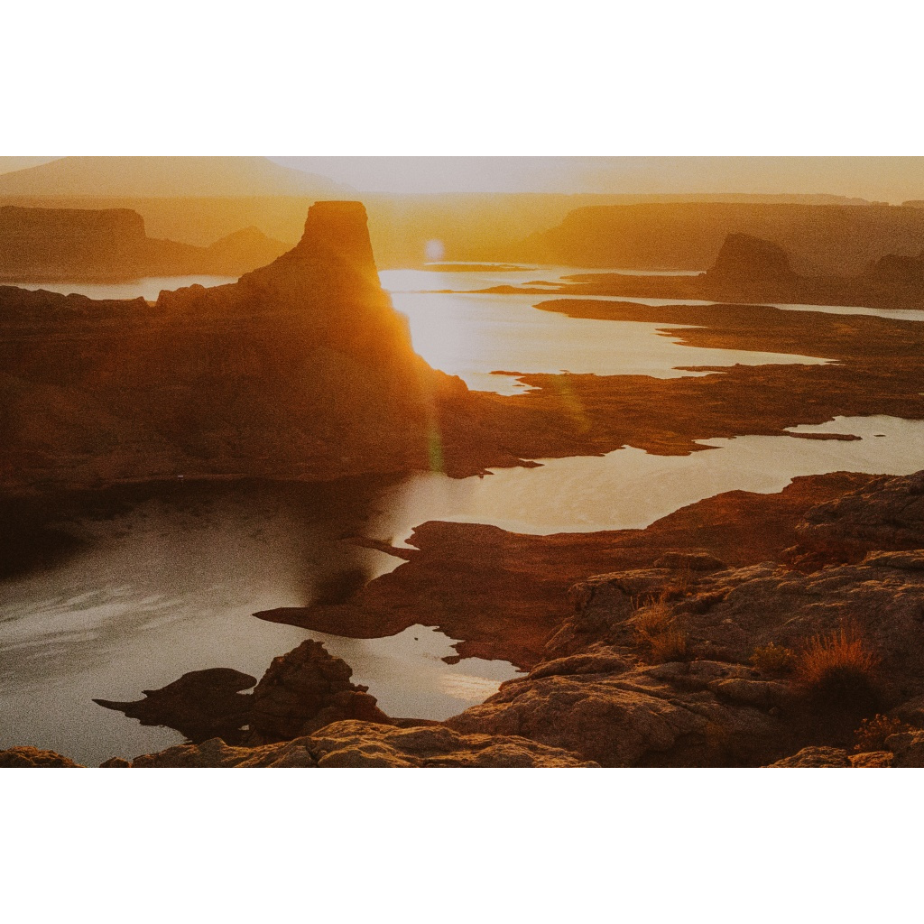 Golden Desert