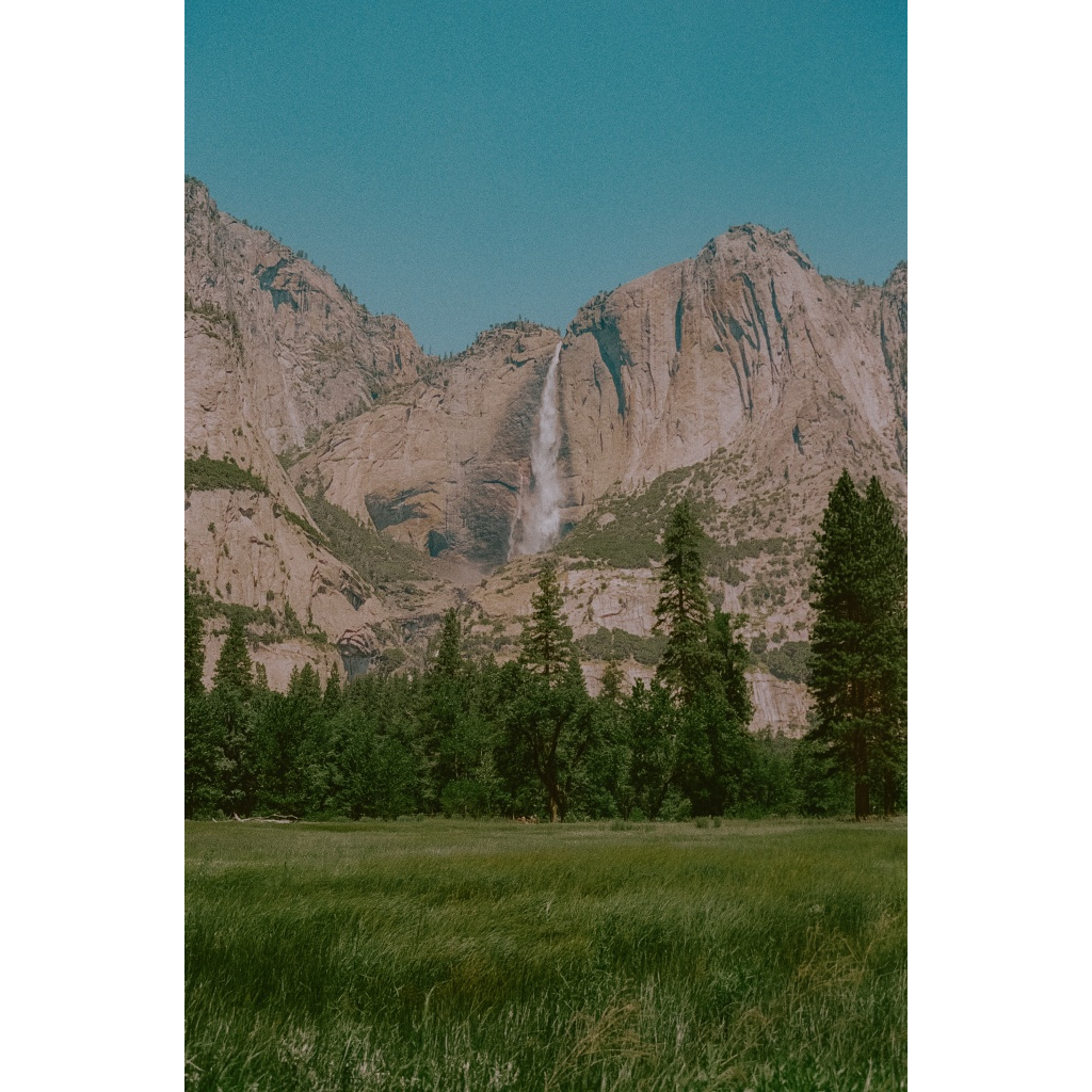 Yosemite Field