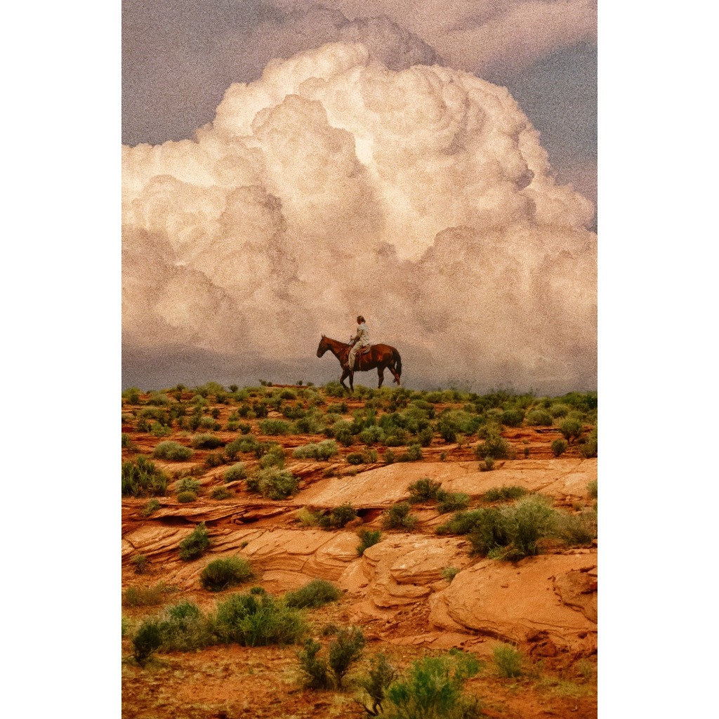 Man on Horse - Western