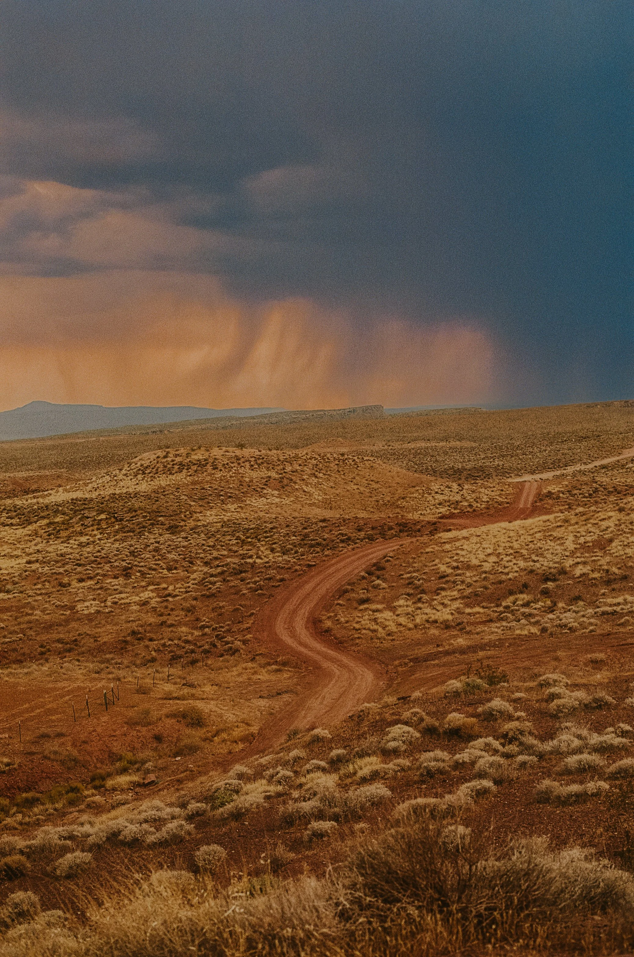 000064540026-7.JPG