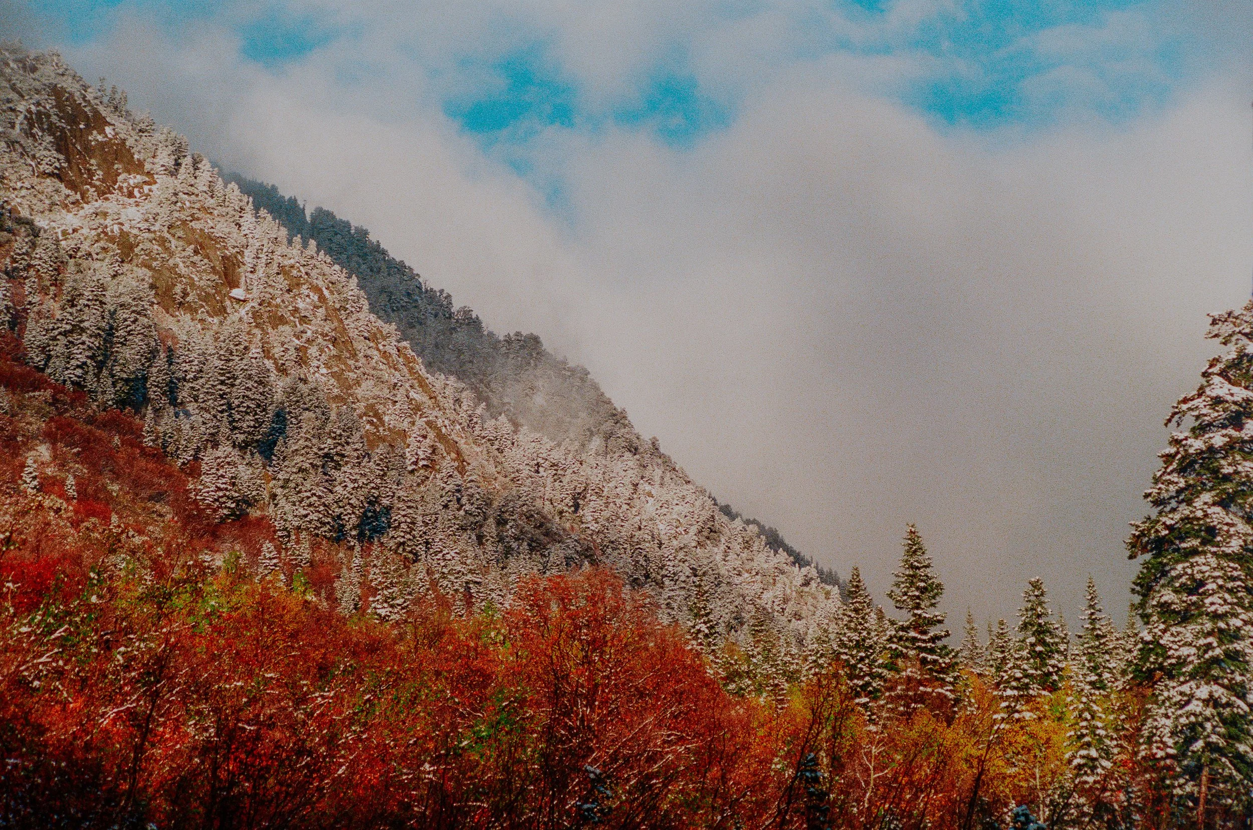 000035840020-9.JPG