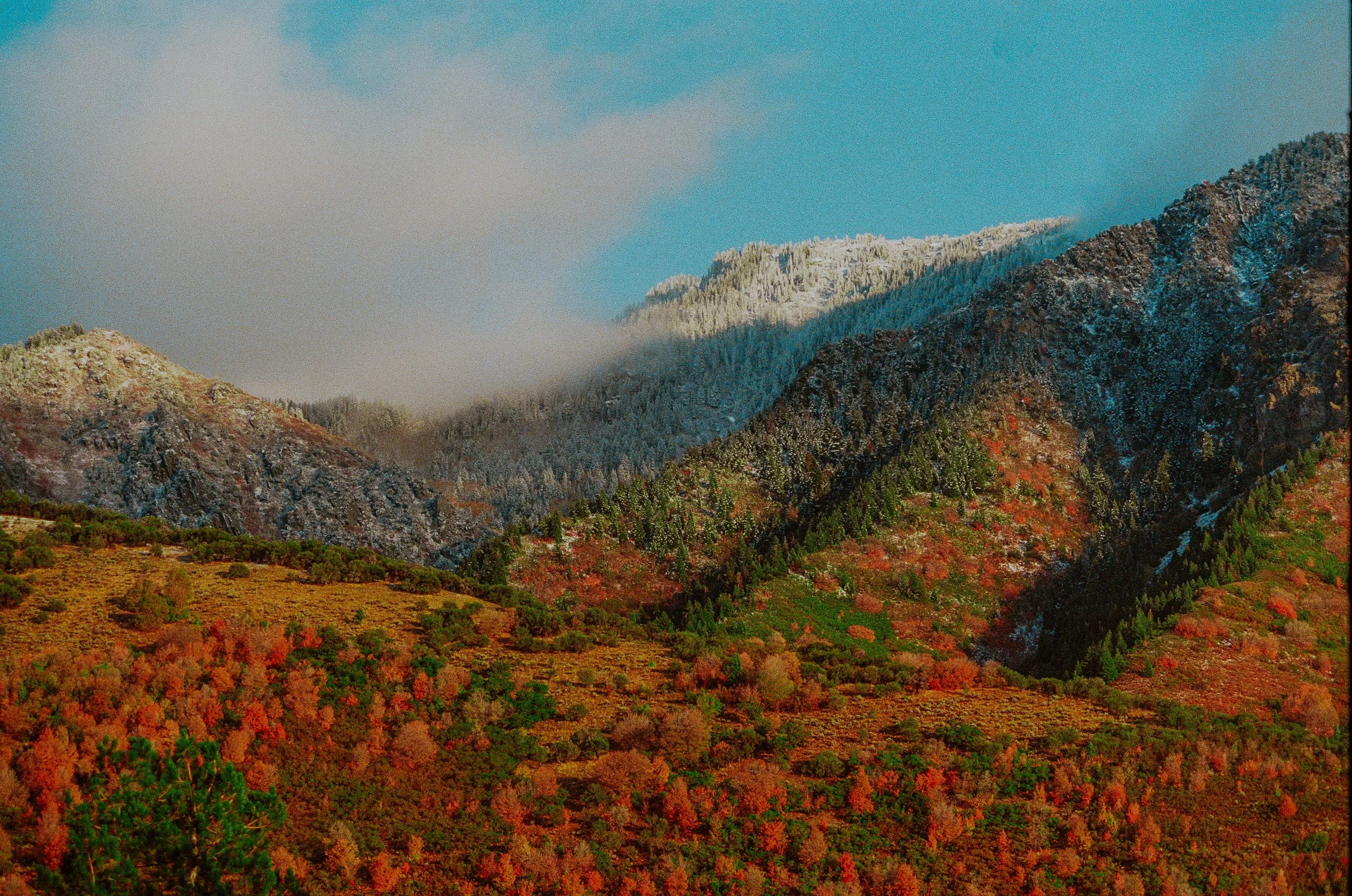 000035840037-26.JPG