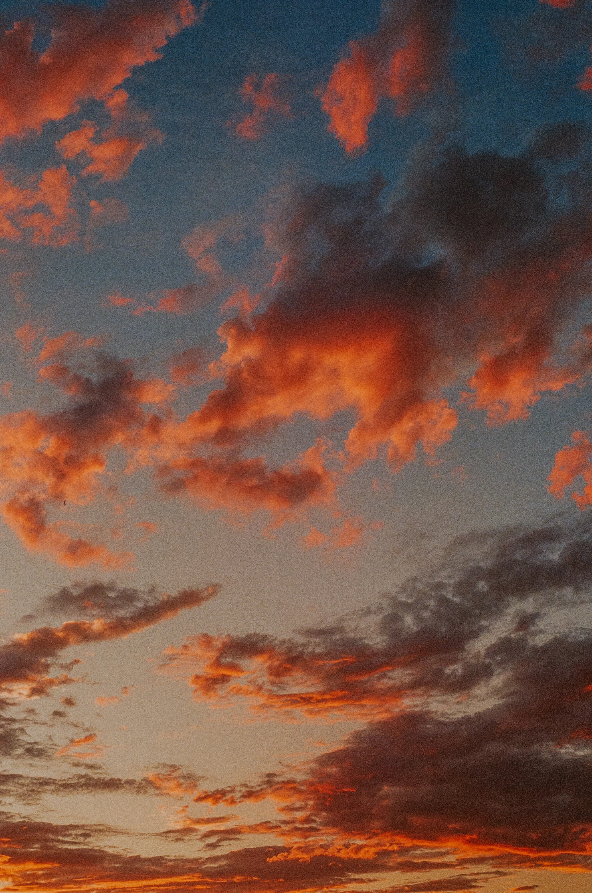 000017370036-36.JPG