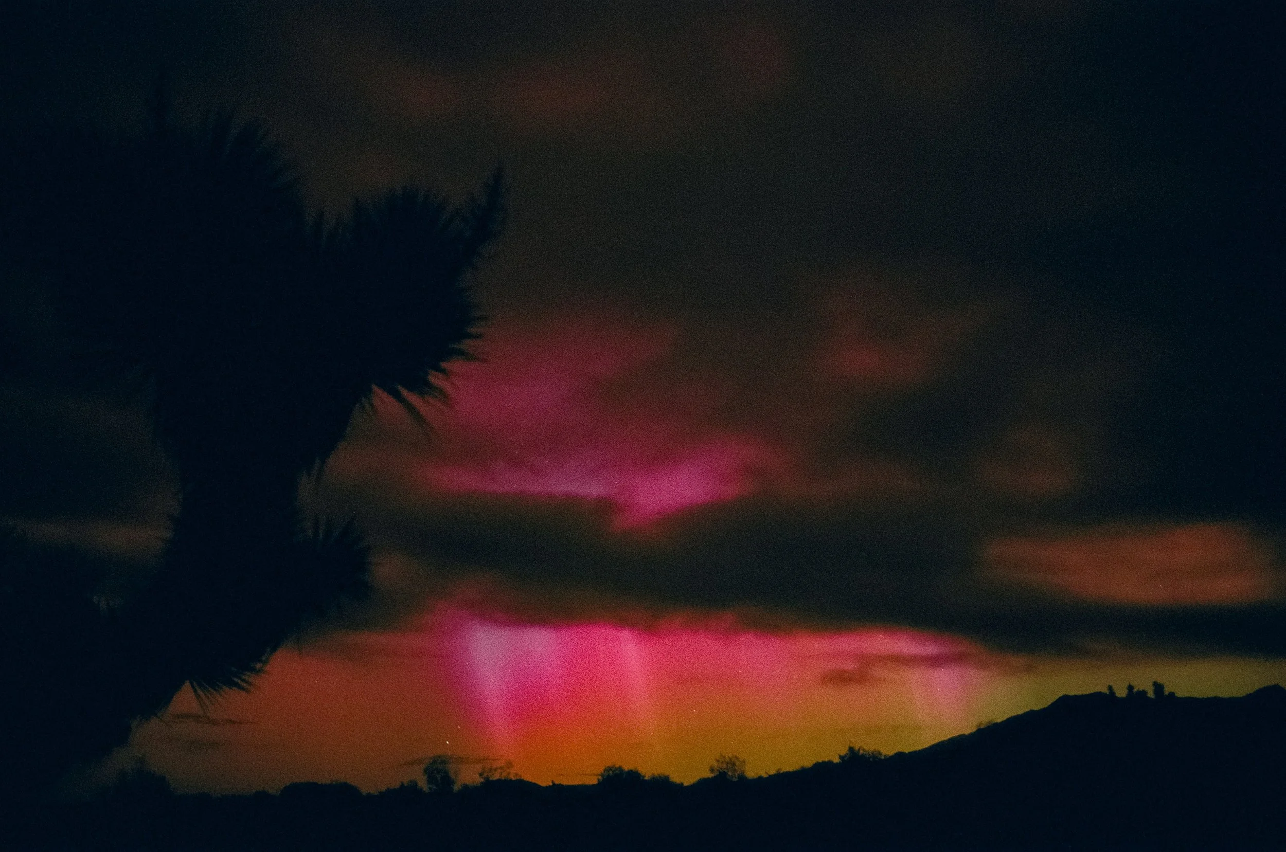 000004870027-27.JPG