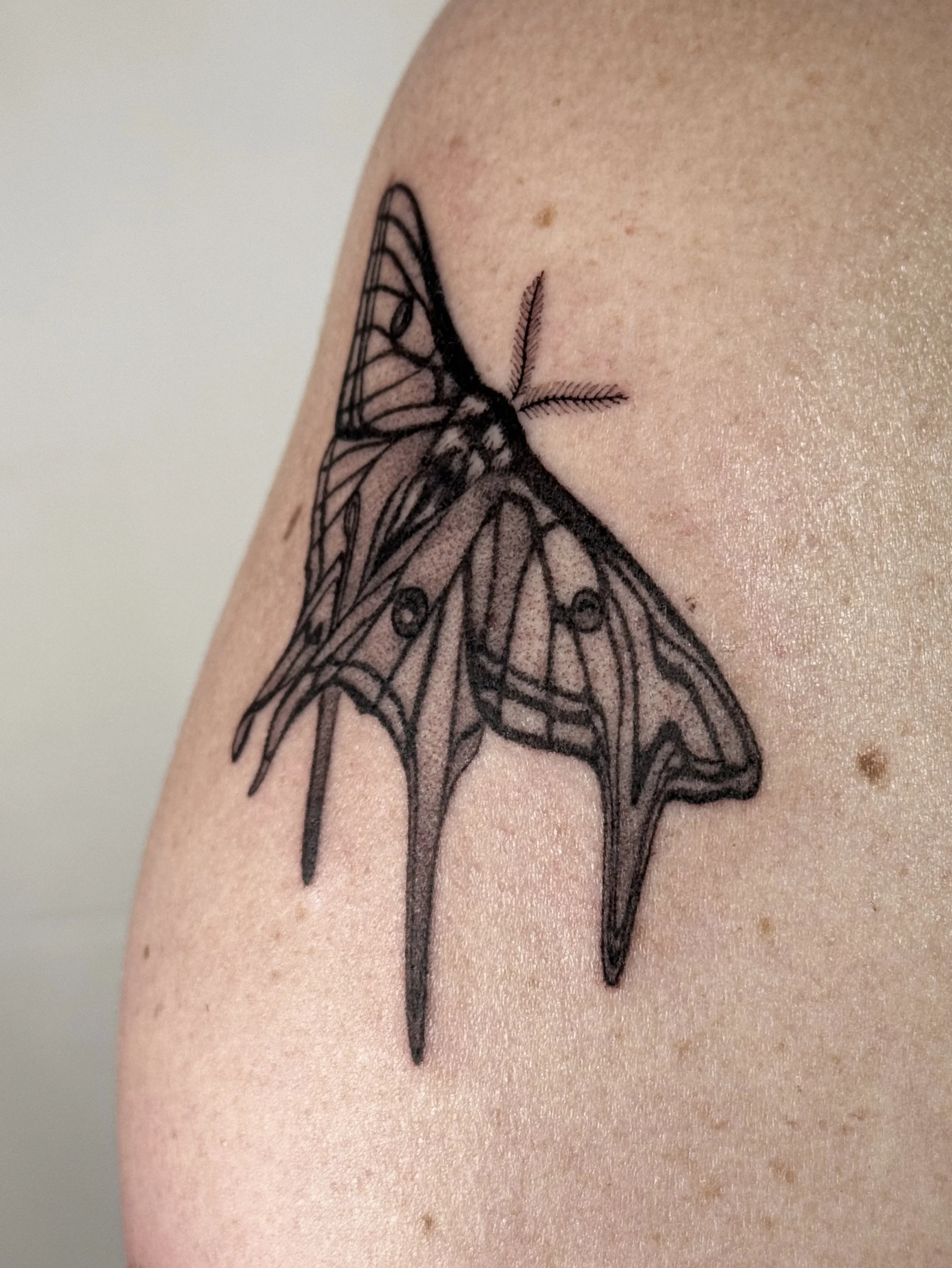 Some of the tattoos I made for Stephanie during my last trip to Chicago.

Thank you for your trust.

Tour
NYC &middot; Last 2 spots in July
Washington, D.C. &middot; Jul 2&ndash;6
NYC &middot; August booking open
Chile &middot; 4 spots

&mdash;

Algu