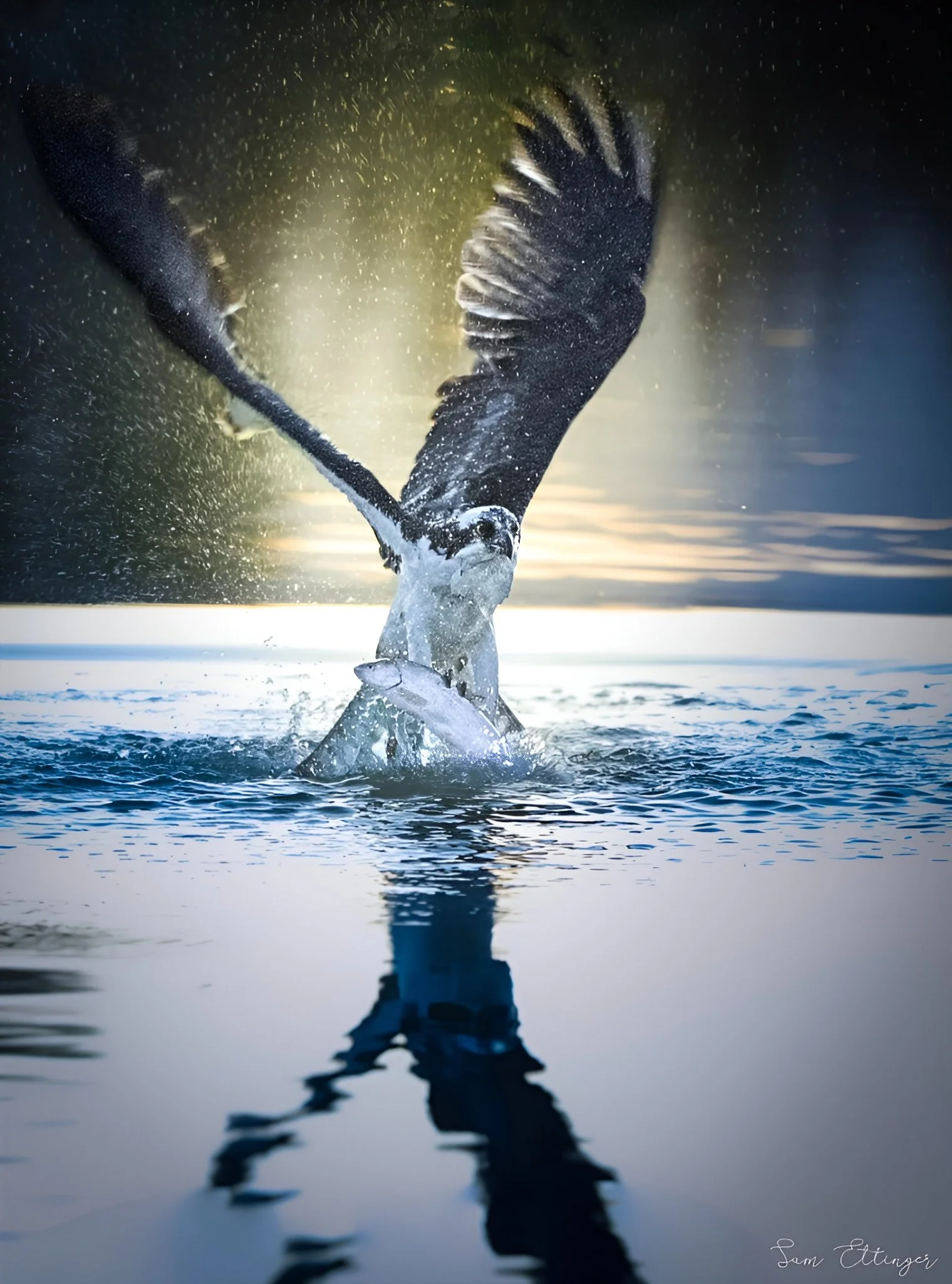 The Best Osprey and Fish1.jpg
