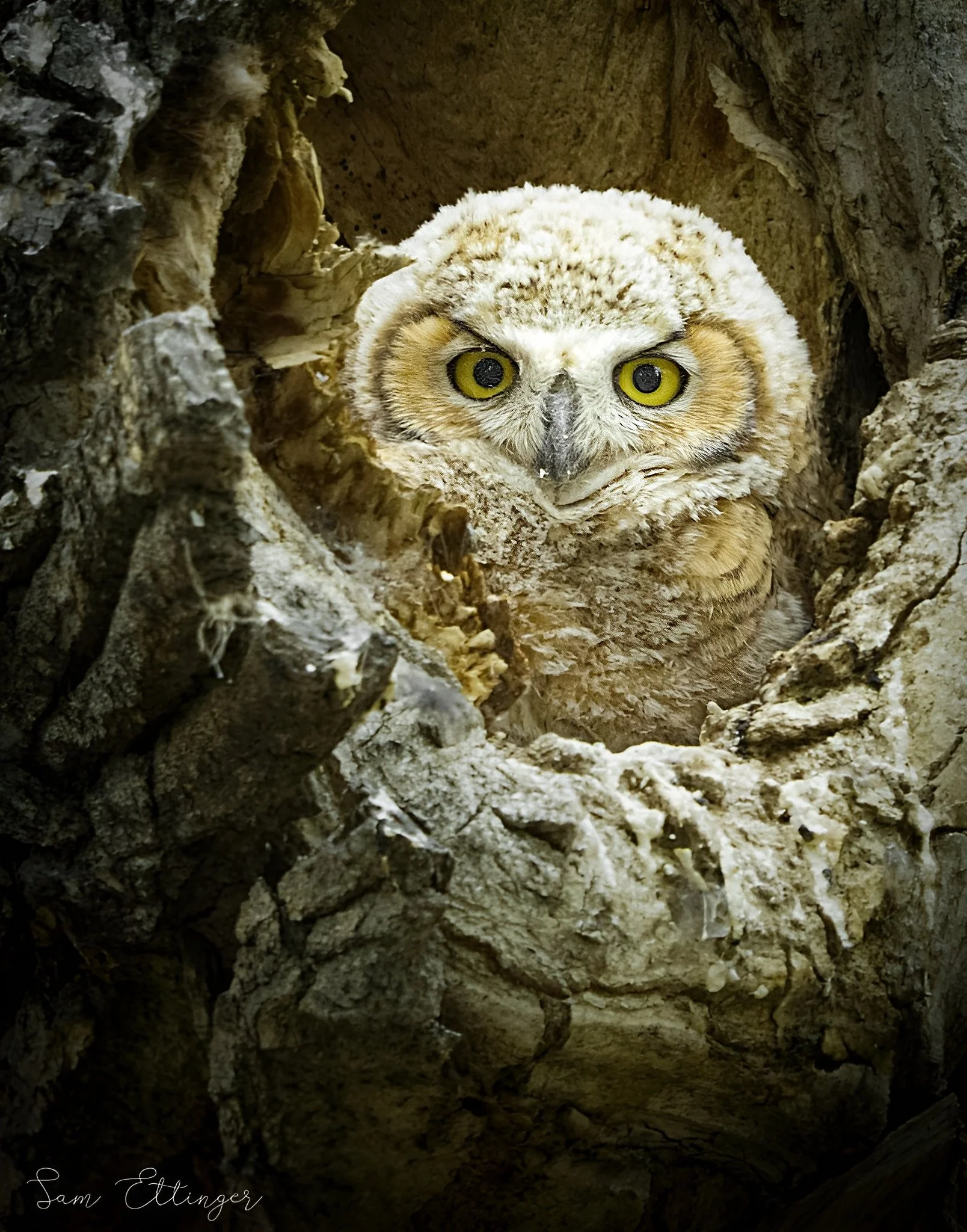 Stunning Chick in the hole12.jpg