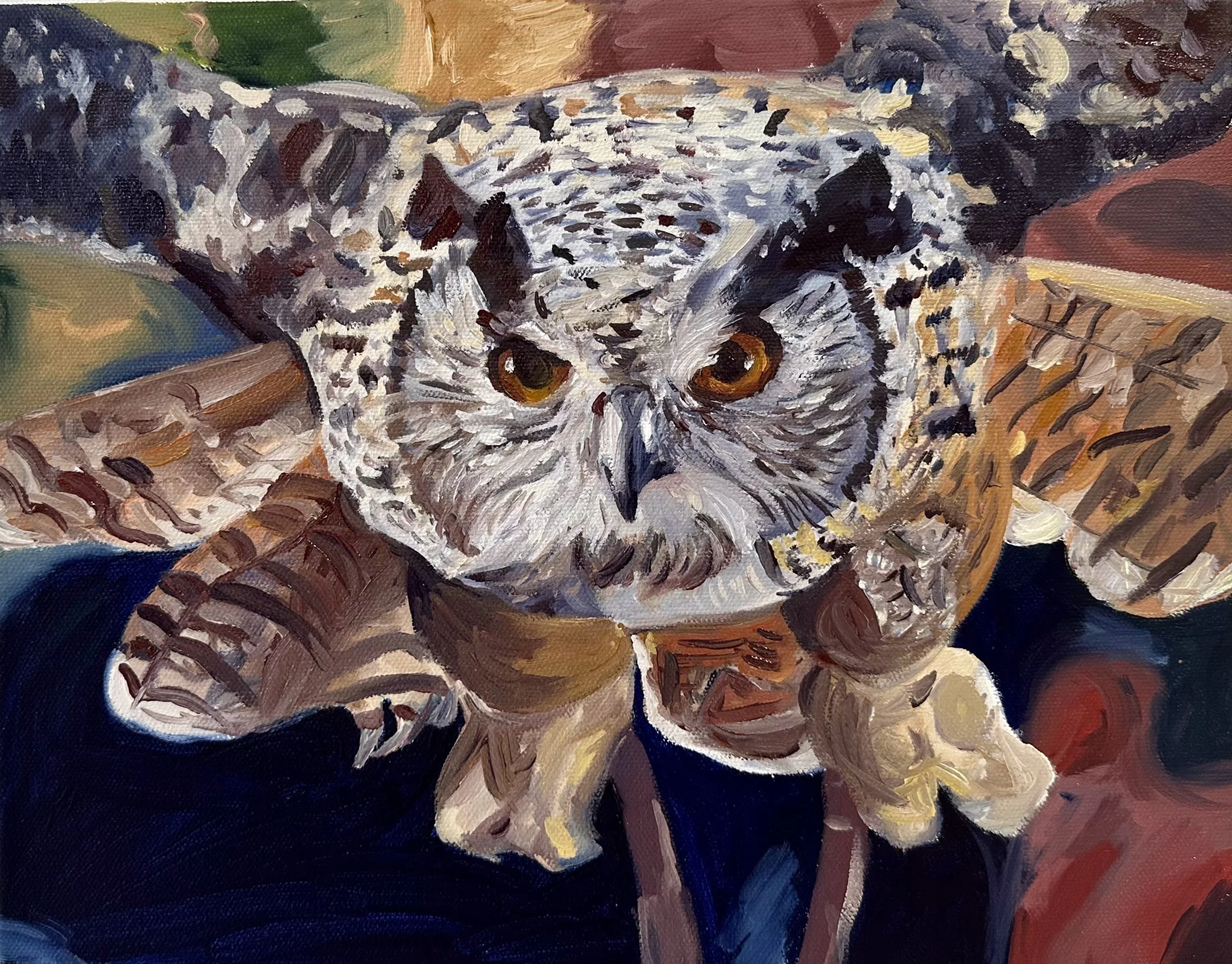 “The Owl” 11x14 inches, oil on stretched canvas.