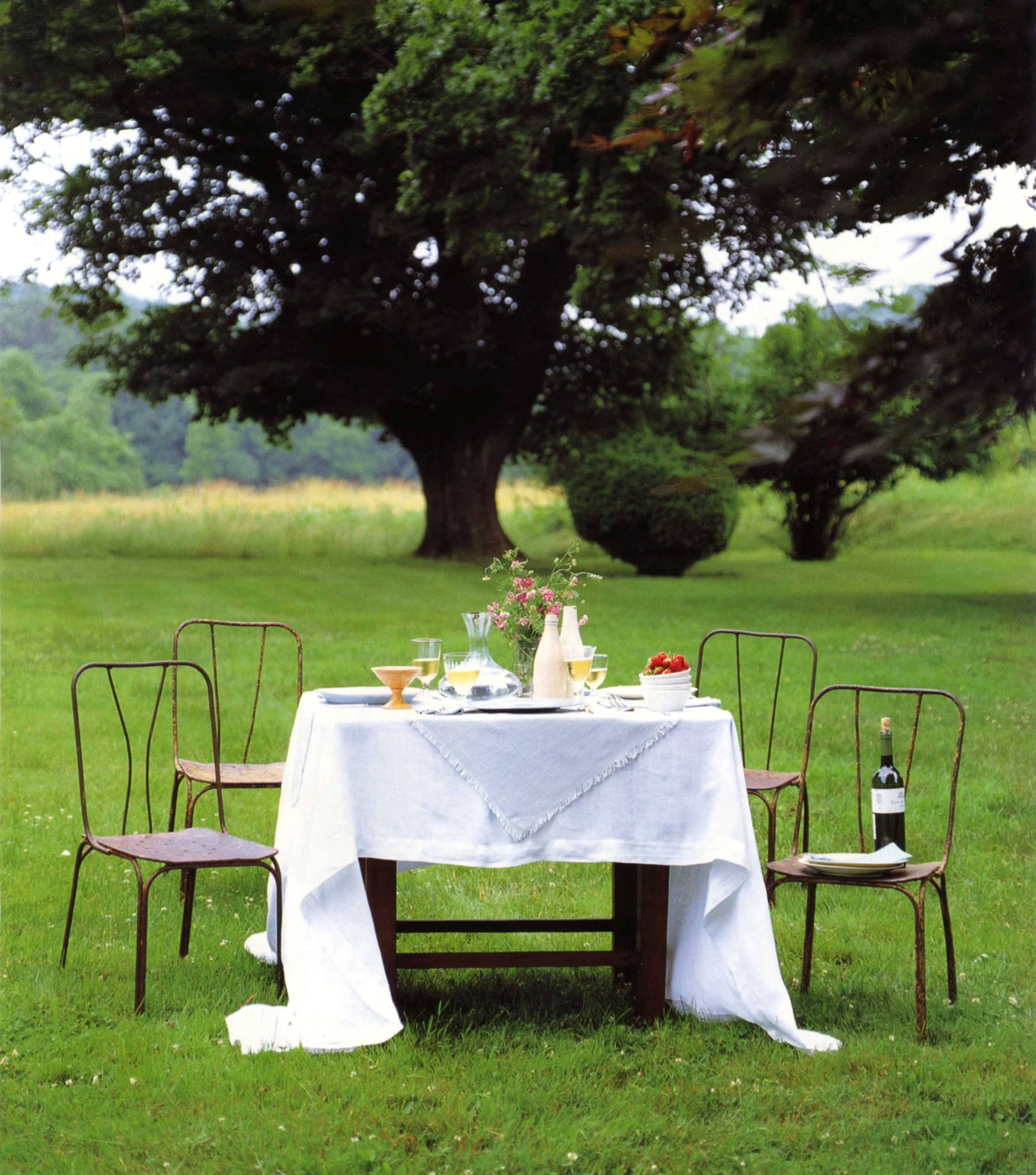 An outdoor dining table set for a meal amidst a lush, green open field with large trees in the background. The table has a white tablecloth, glassware, a vase with pink flowers, a bowl of strawberries, a wine bottle, and chairs around it.