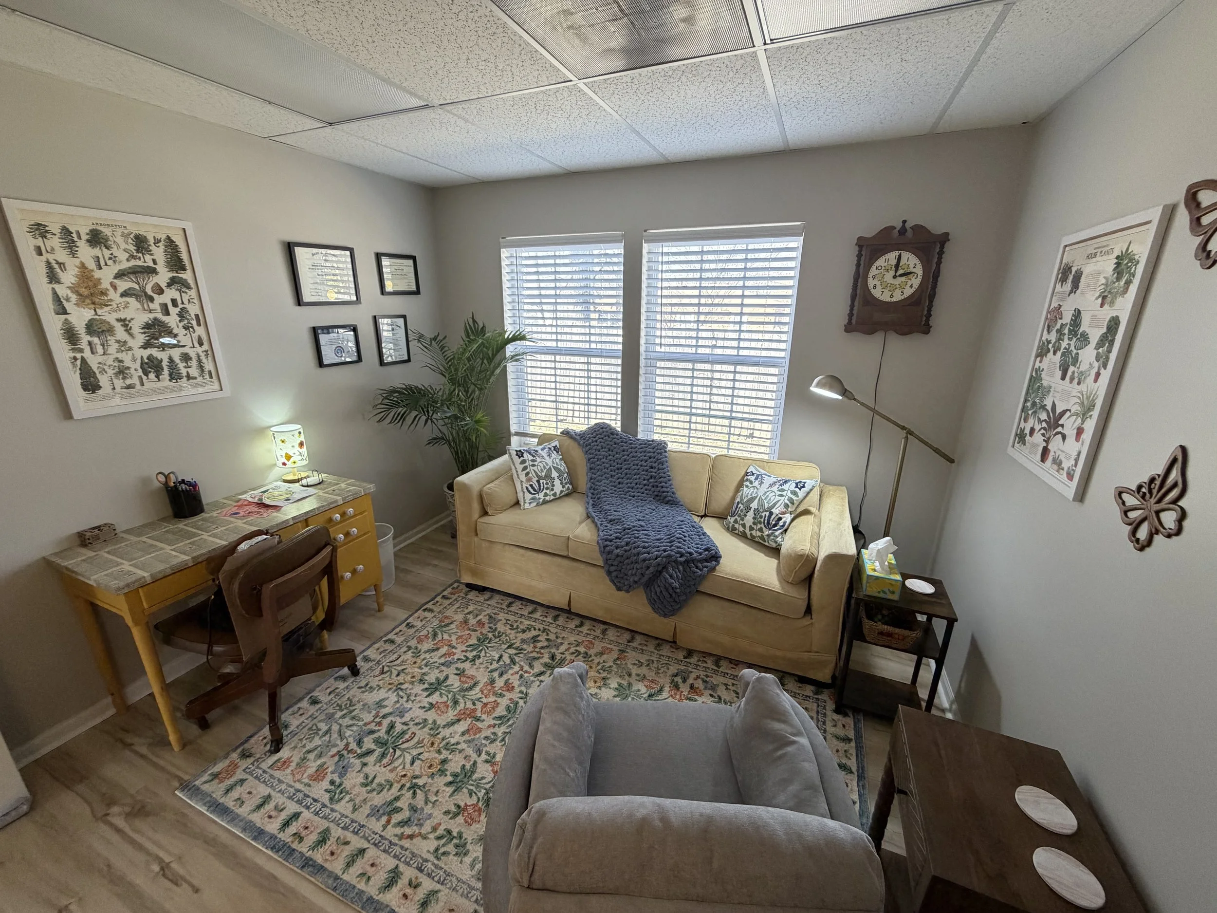 Beautiful and comfy office