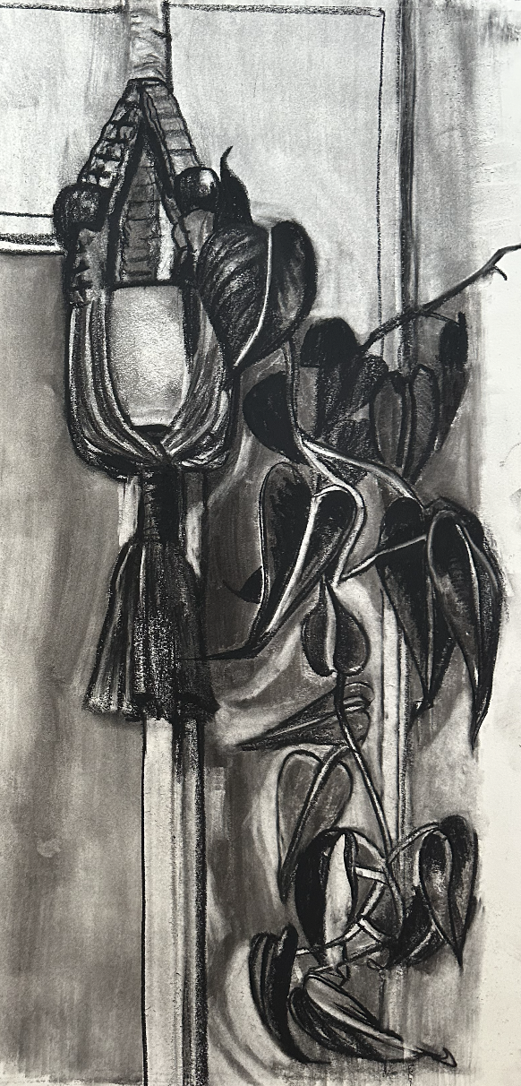 Screenshot 2026-02-01 at 11.01.41 AM.png