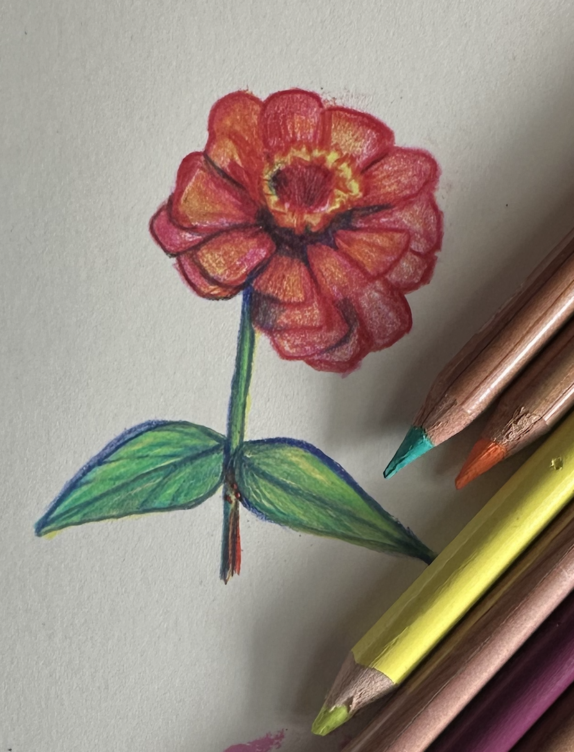 Screenshot 2026-02-01 at 11.02.59 AM.png