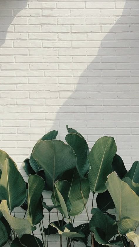 Plant Party at Lancaster Flower Shop