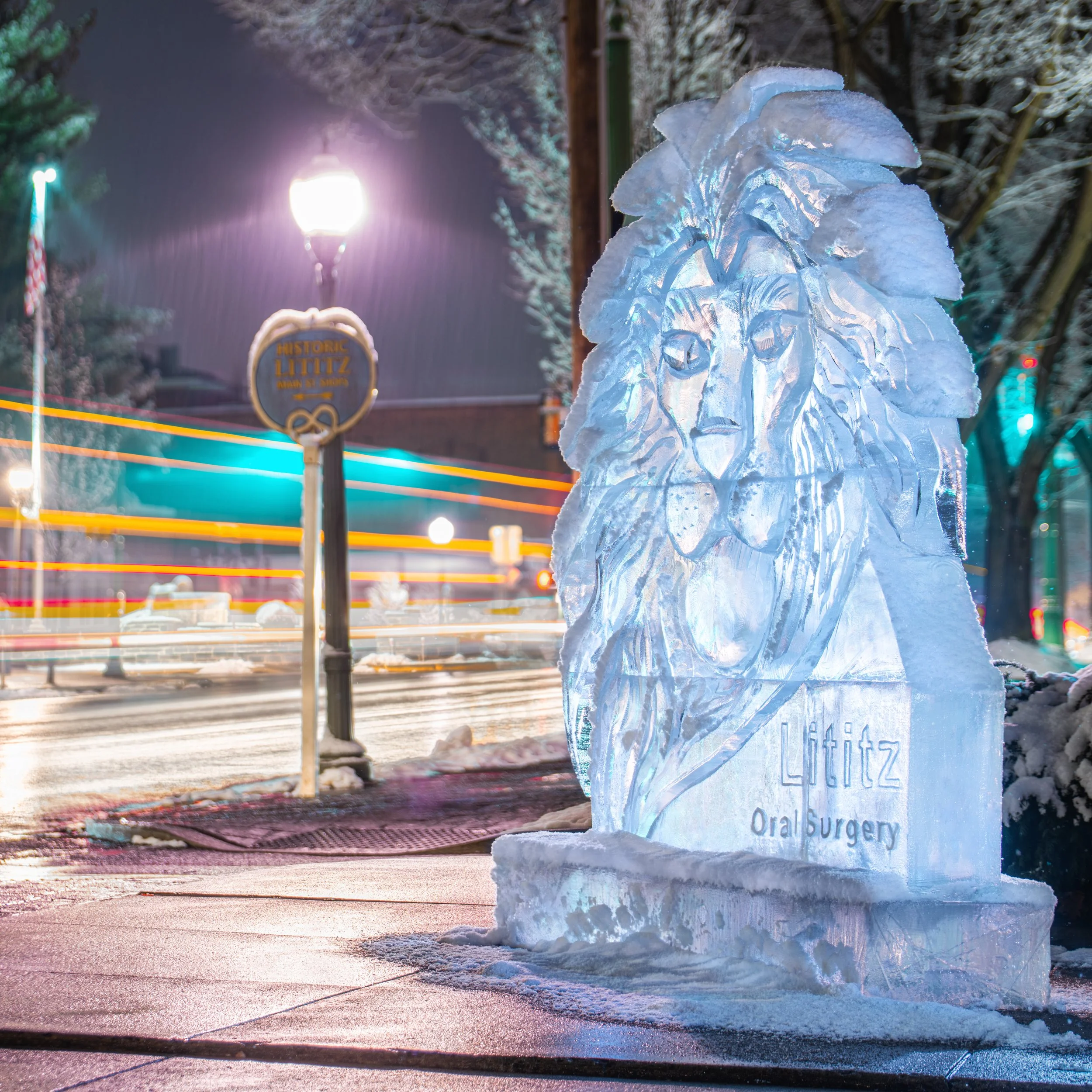 Lititz_Oral_Surgery_Lion_01.jpg