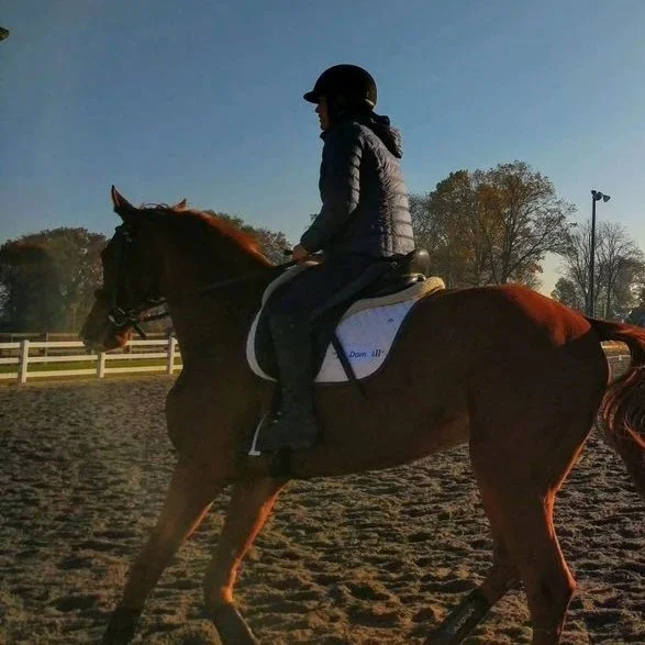 Equestrian Day Camp