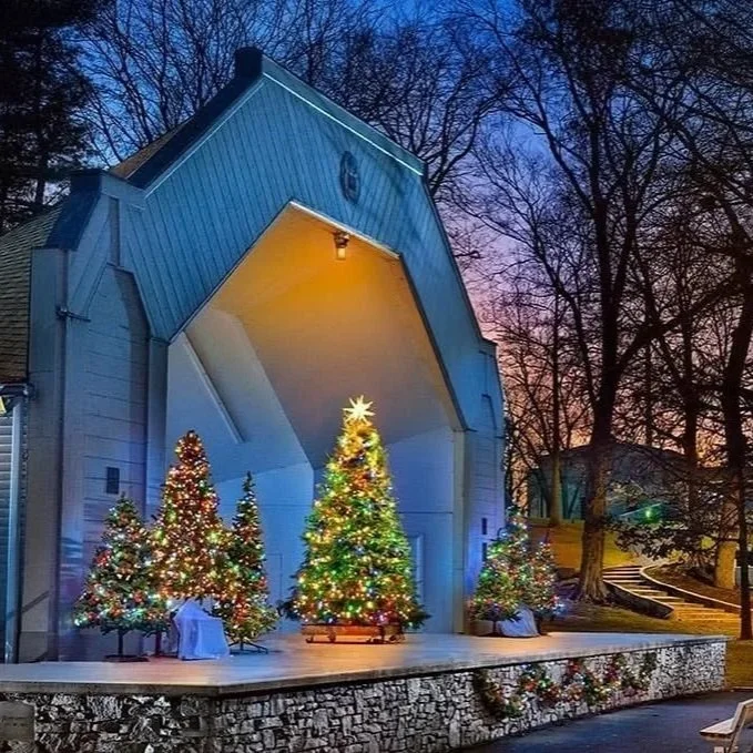 Christmas in the Park