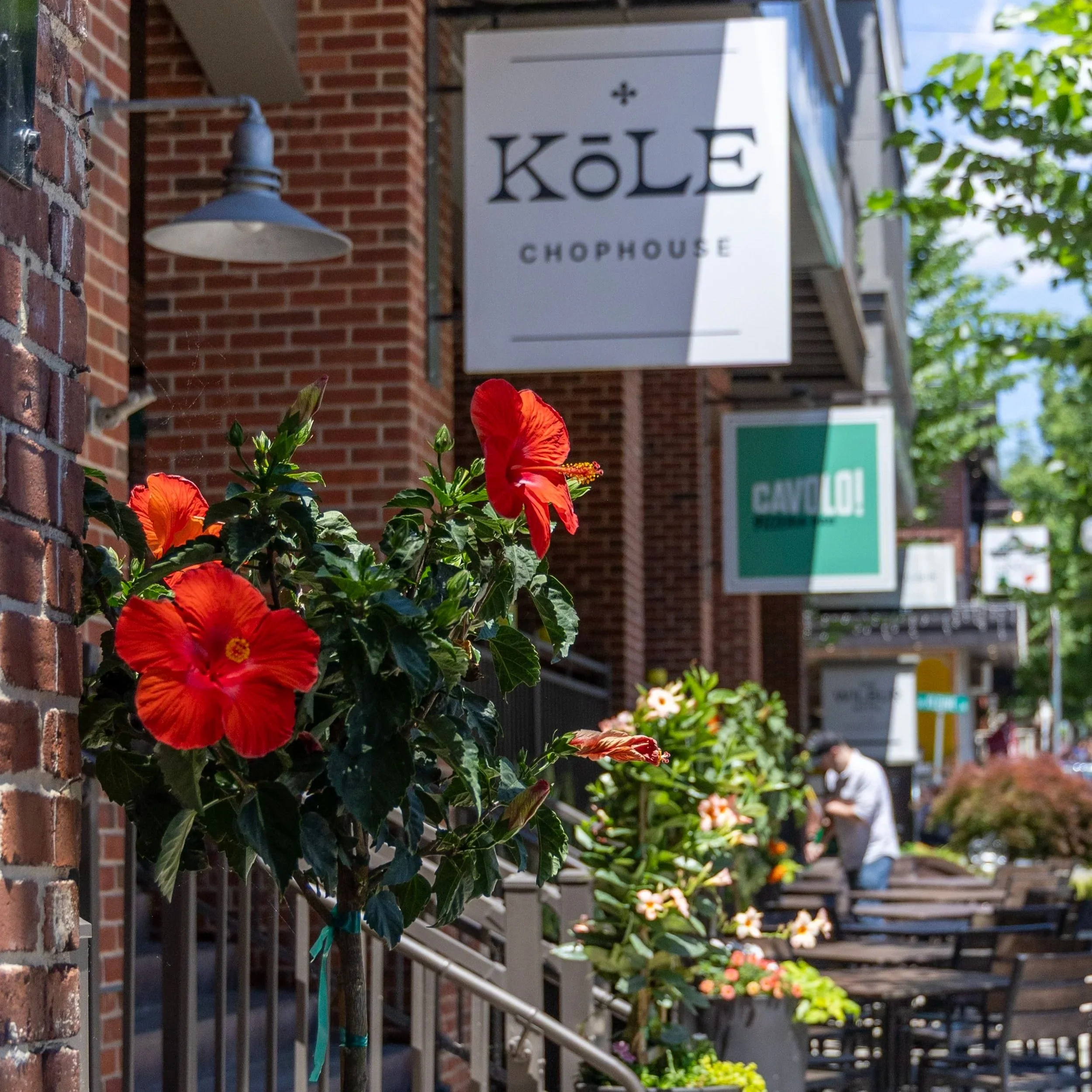 KōLE Chophouse