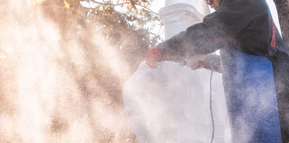 Person spraying a substance from a container outdoors with a cloud of dust or mist around.