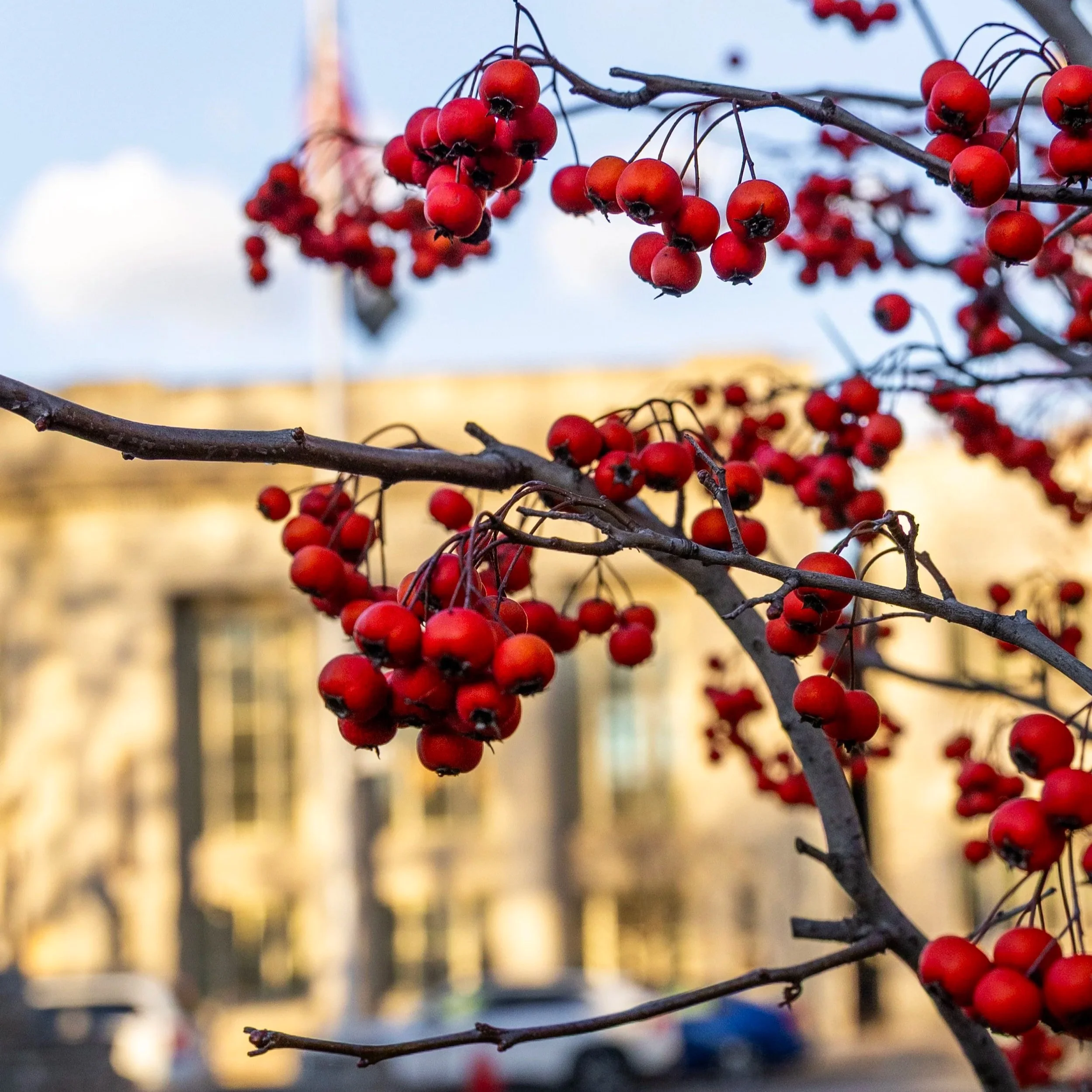 January 2026 Newsletter