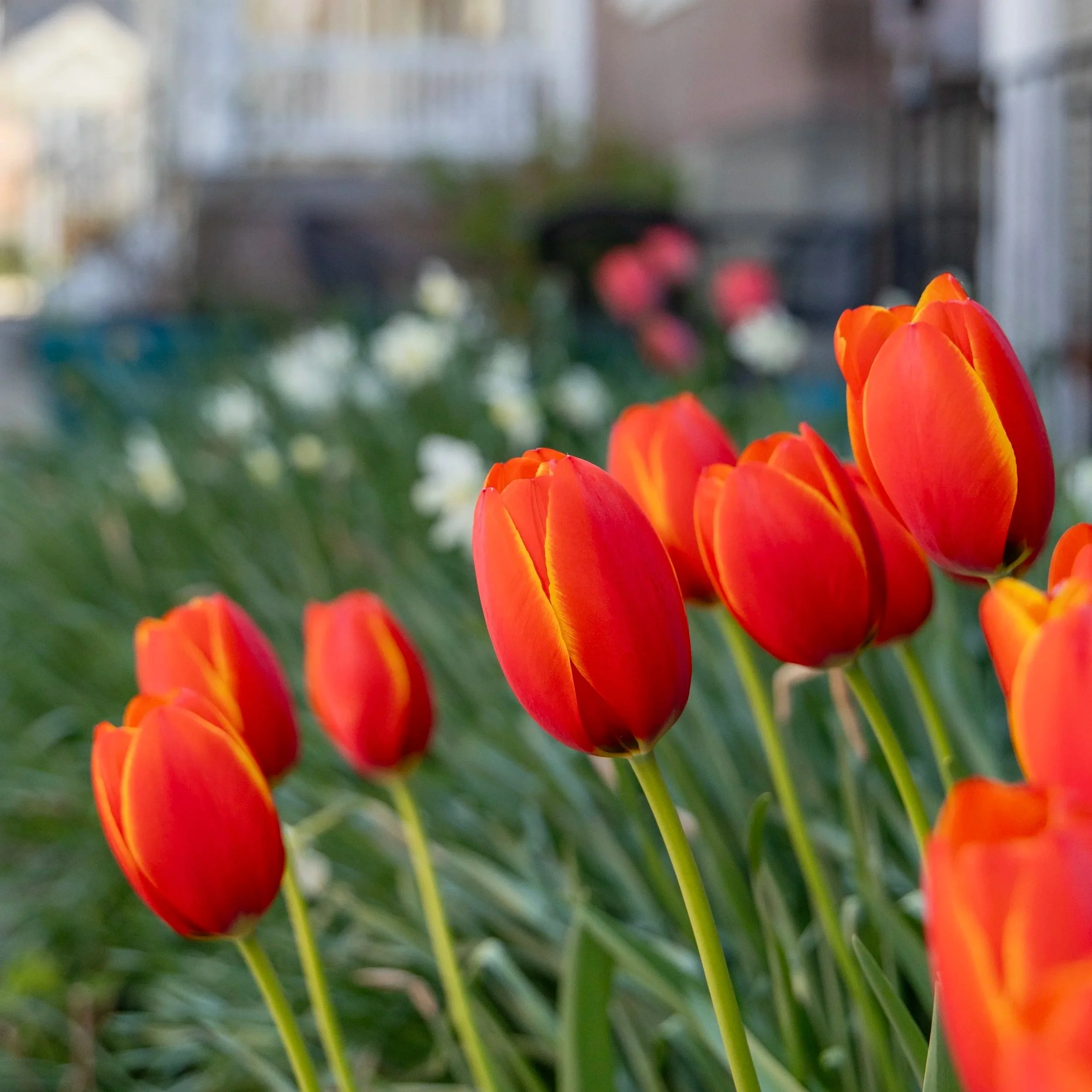 April 2026 Newsletter