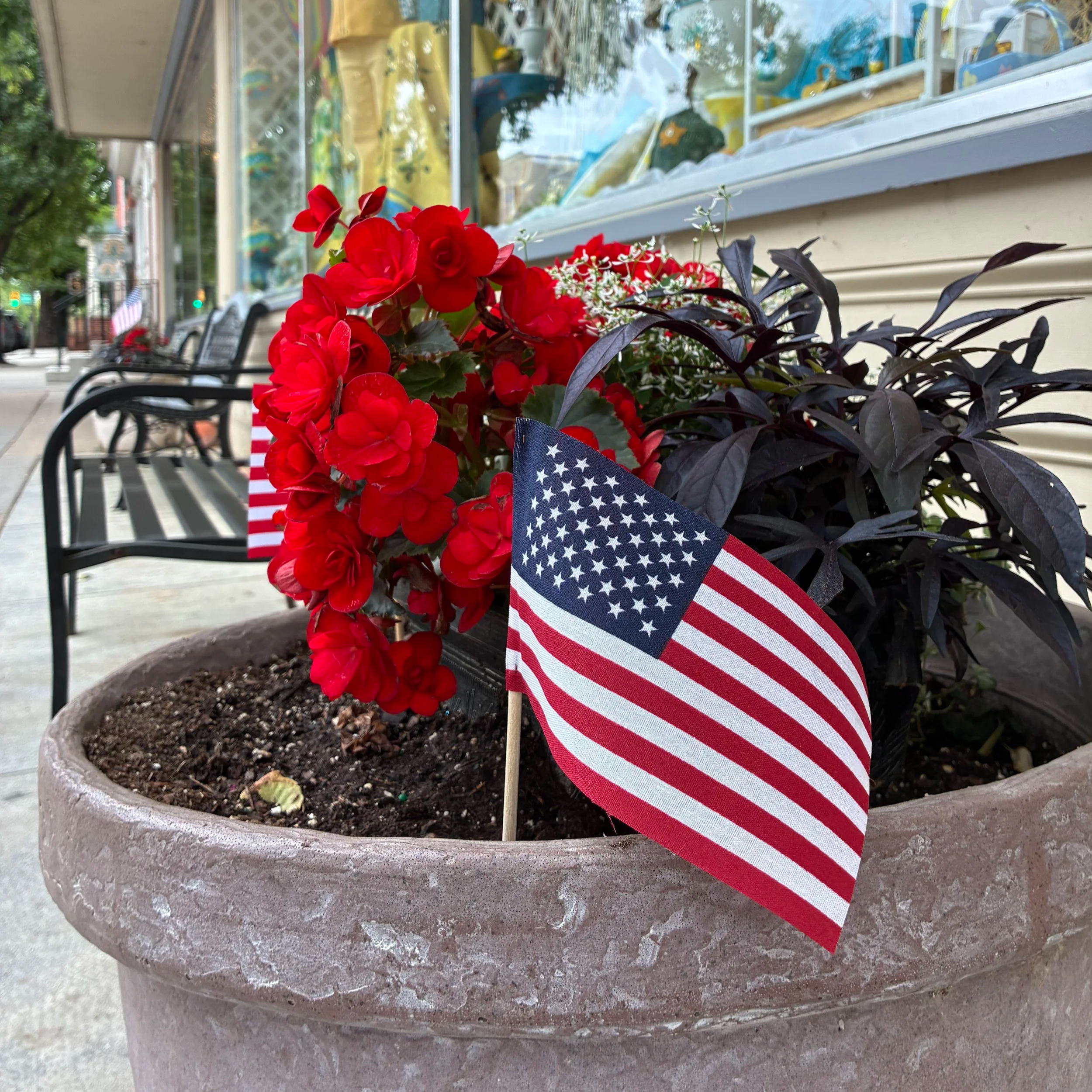 June 2026 Newsletter