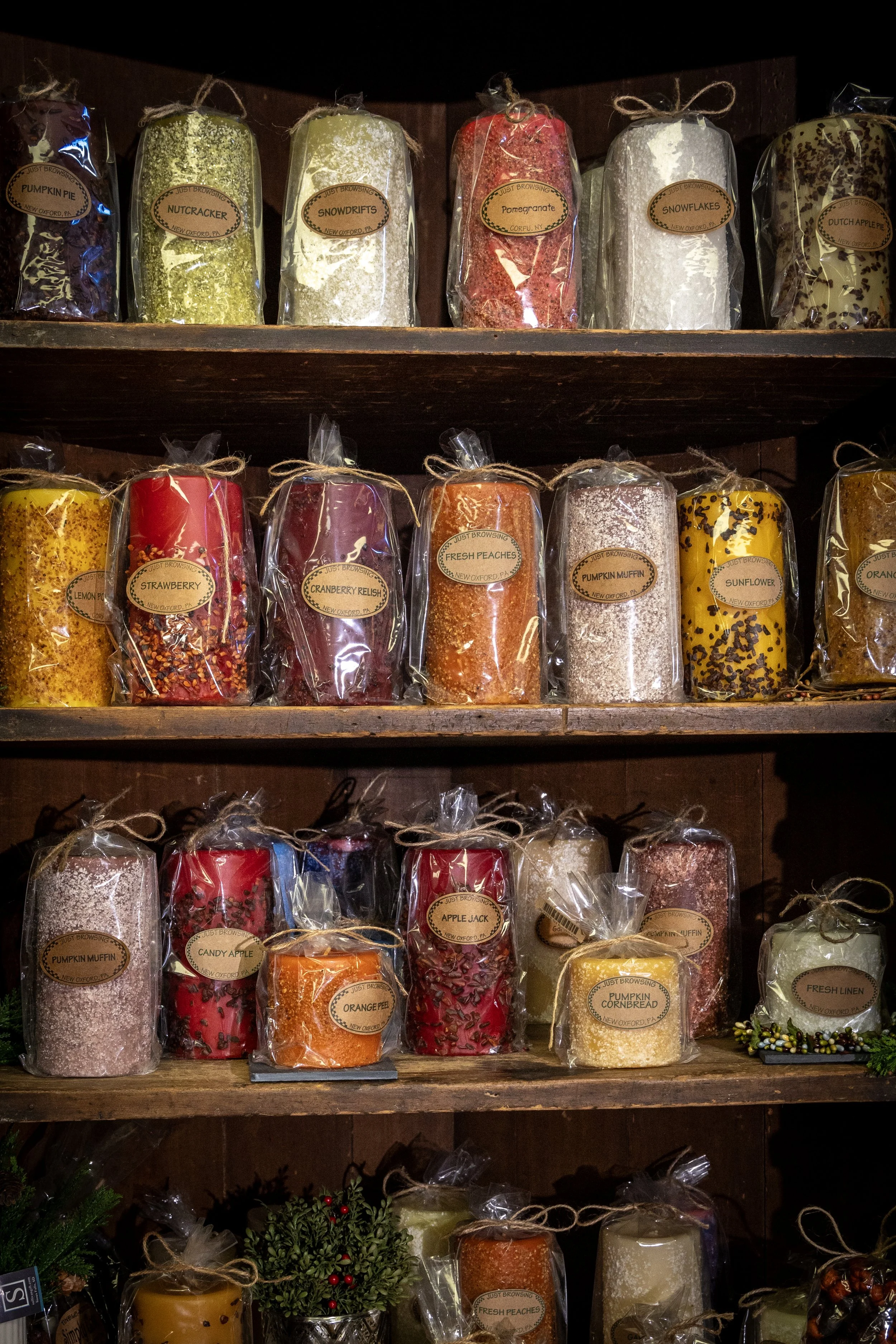 Jen_Foster_0177 (1).jpg