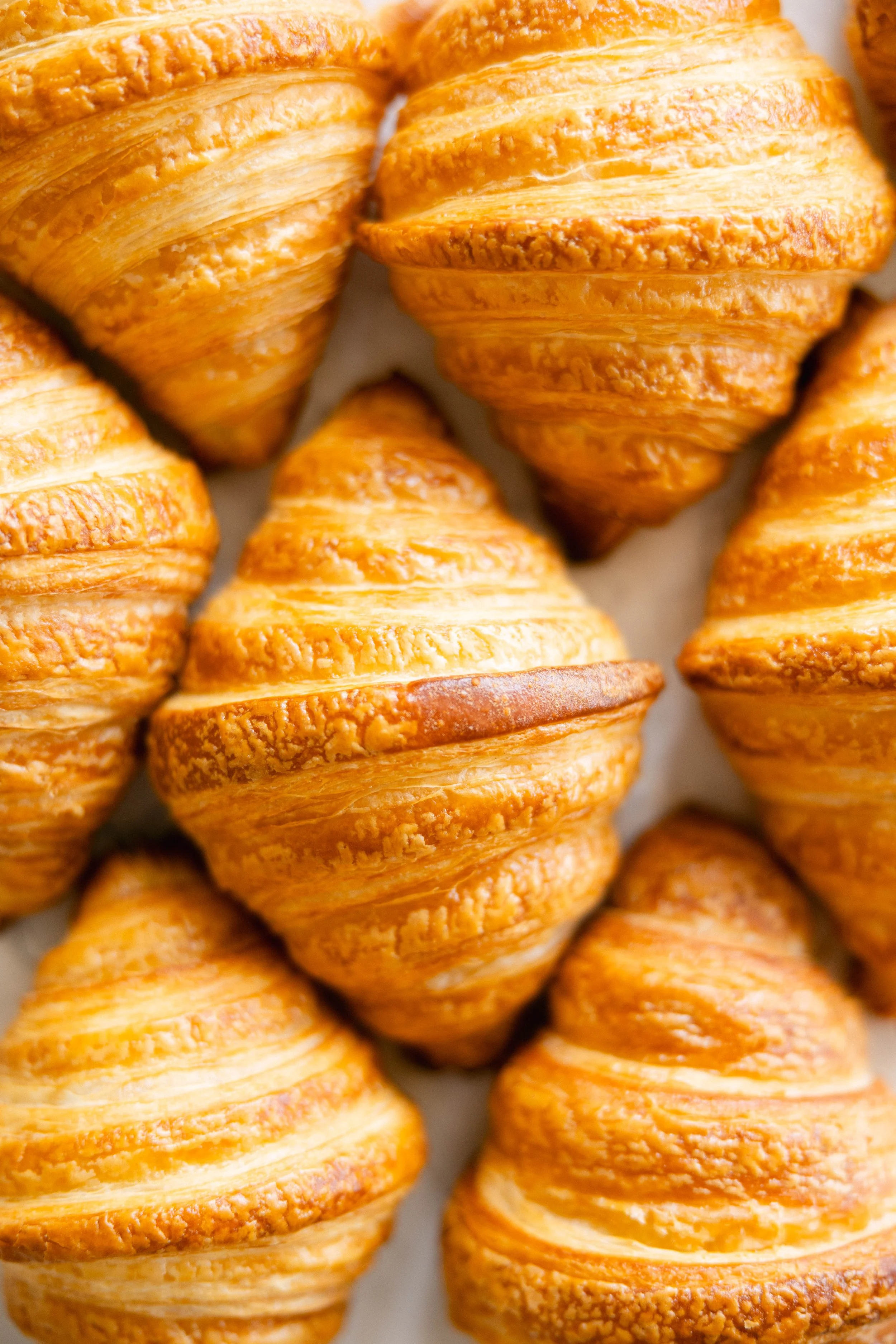 Butter croissants.jpg