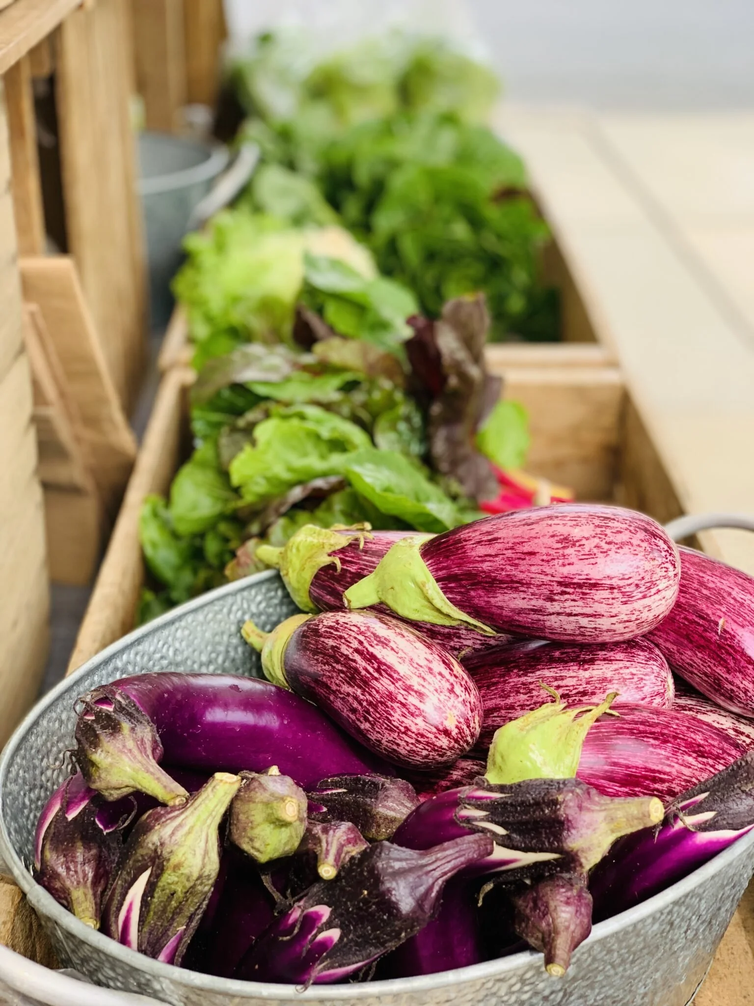 A basket of eggplants with purple and striped patterns, placed on a wooden table with green leafy vegetables in the background.