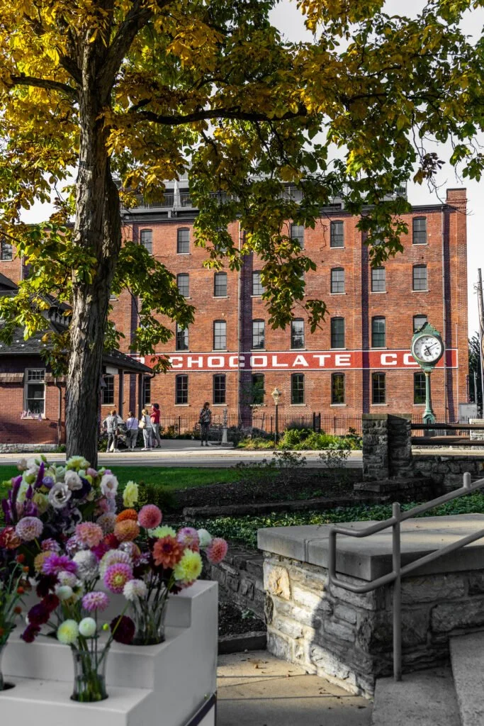 A park scene with a large tree, colorful flowers in the foreground, a brick building with a sign that reads 'CHOCOLATE CO,' and a clock showing 4:45.