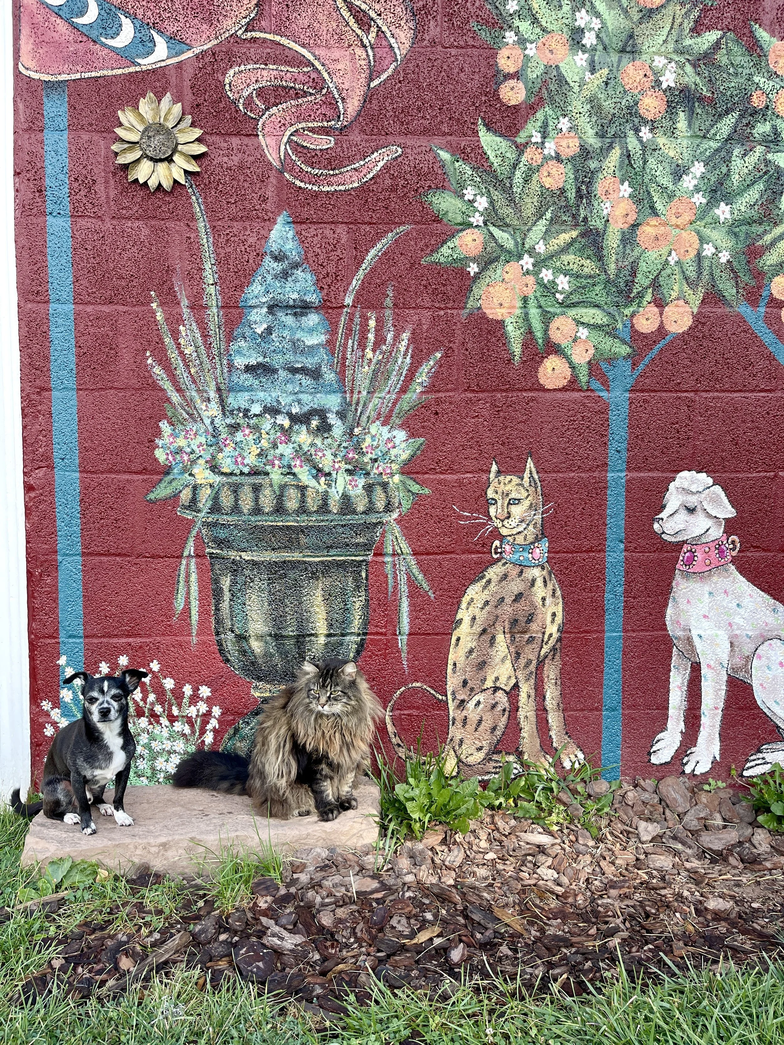 Exterior painted mural inspired by the Unicorn Tapestries featuring an orange tree, a leopard, and a white dog both with fancy jeweled collars.  The artists two pets, Poncho and Saucy are posing in front for the photo.  By artist Sara Trotter / Chrom