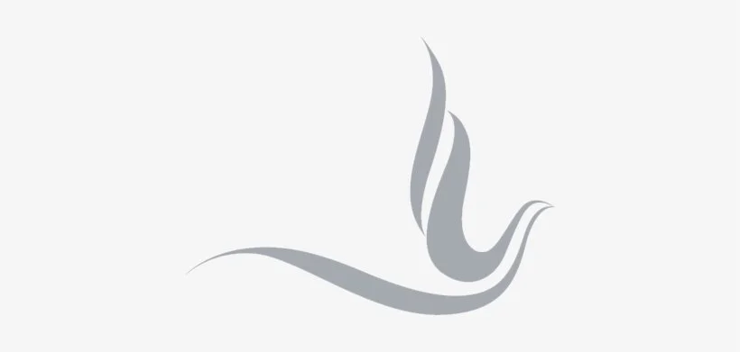 Gray abstract bird in flight with curved lines on a light background.