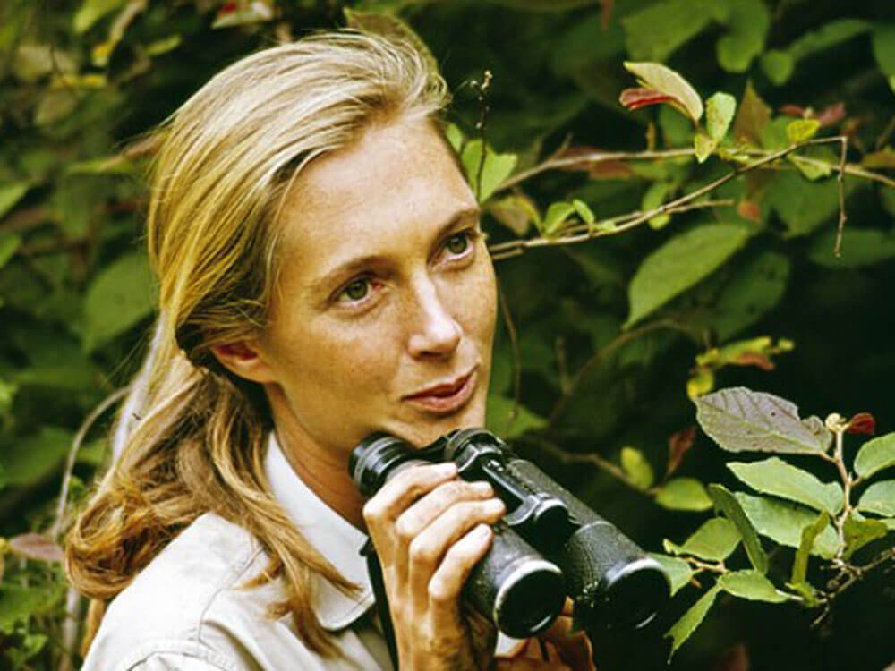 JaneGoodall.jpg