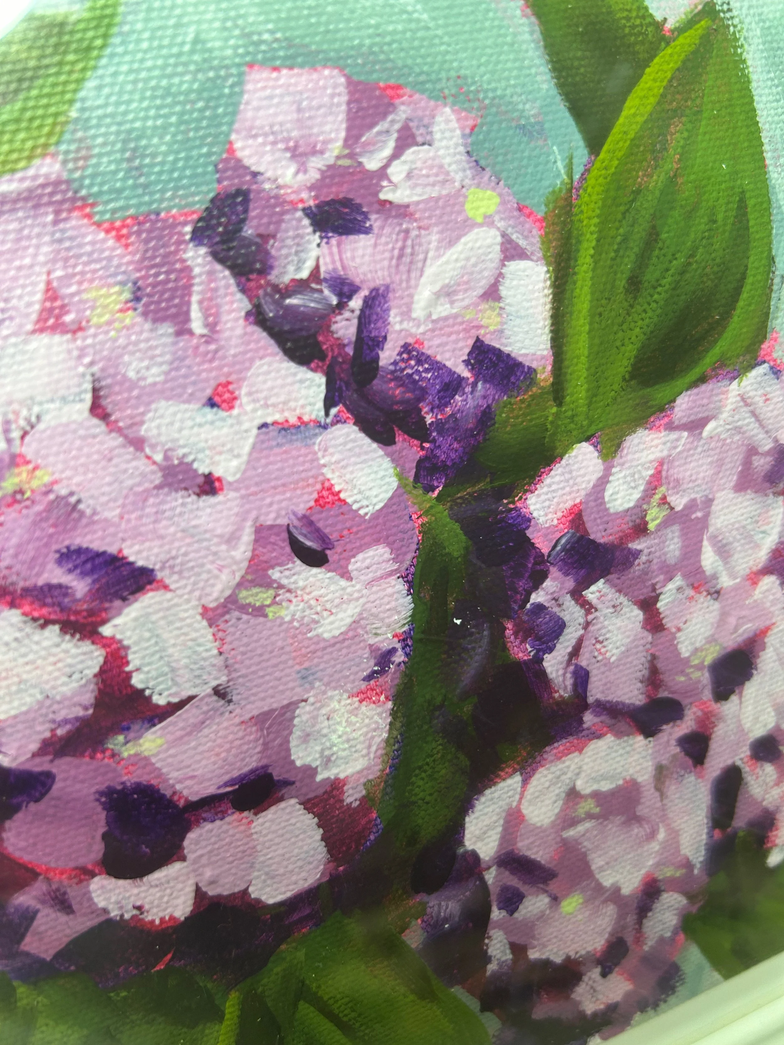 HydrangeaCloseUp.jpeg
