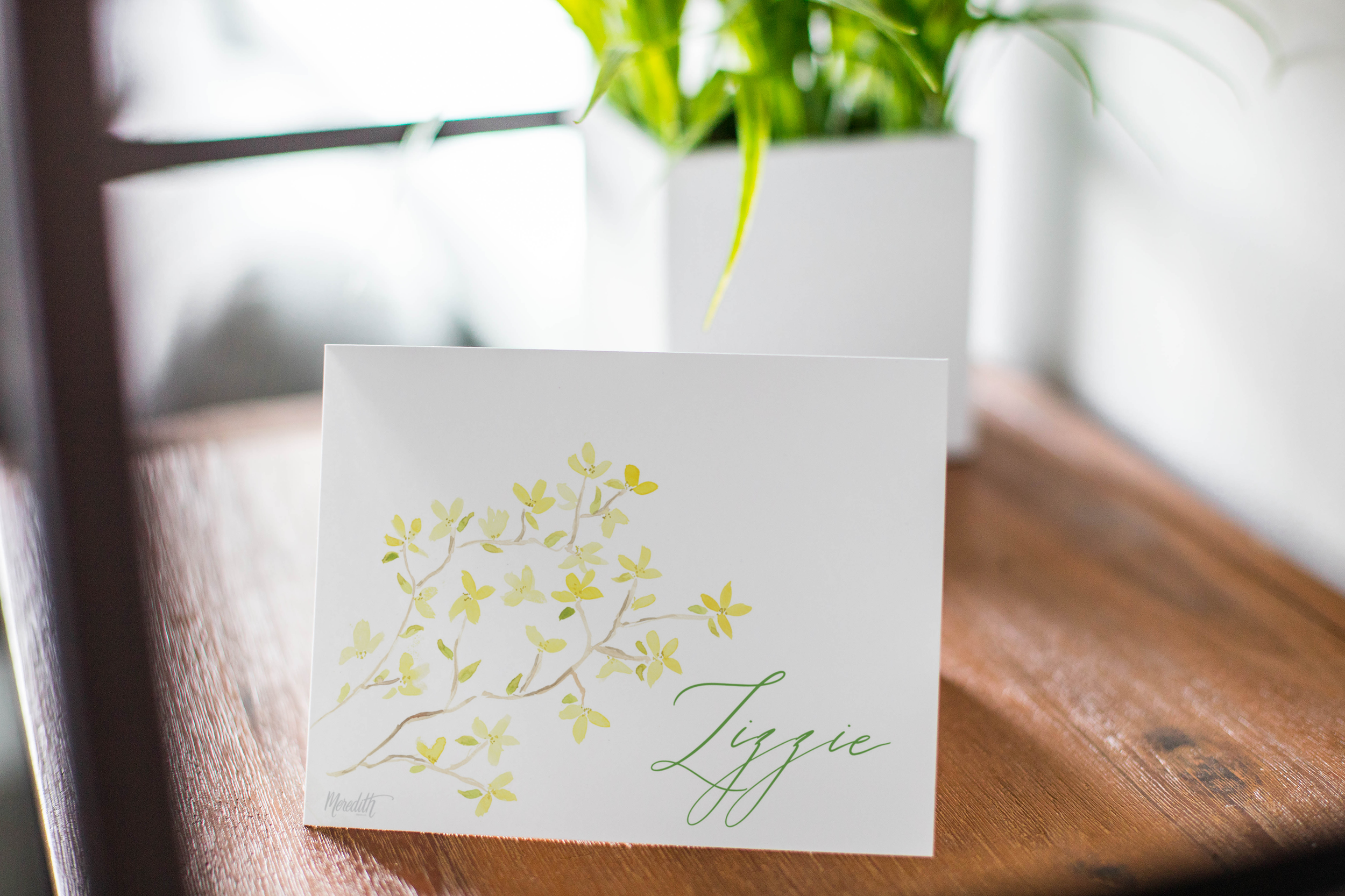 Forsythia.png