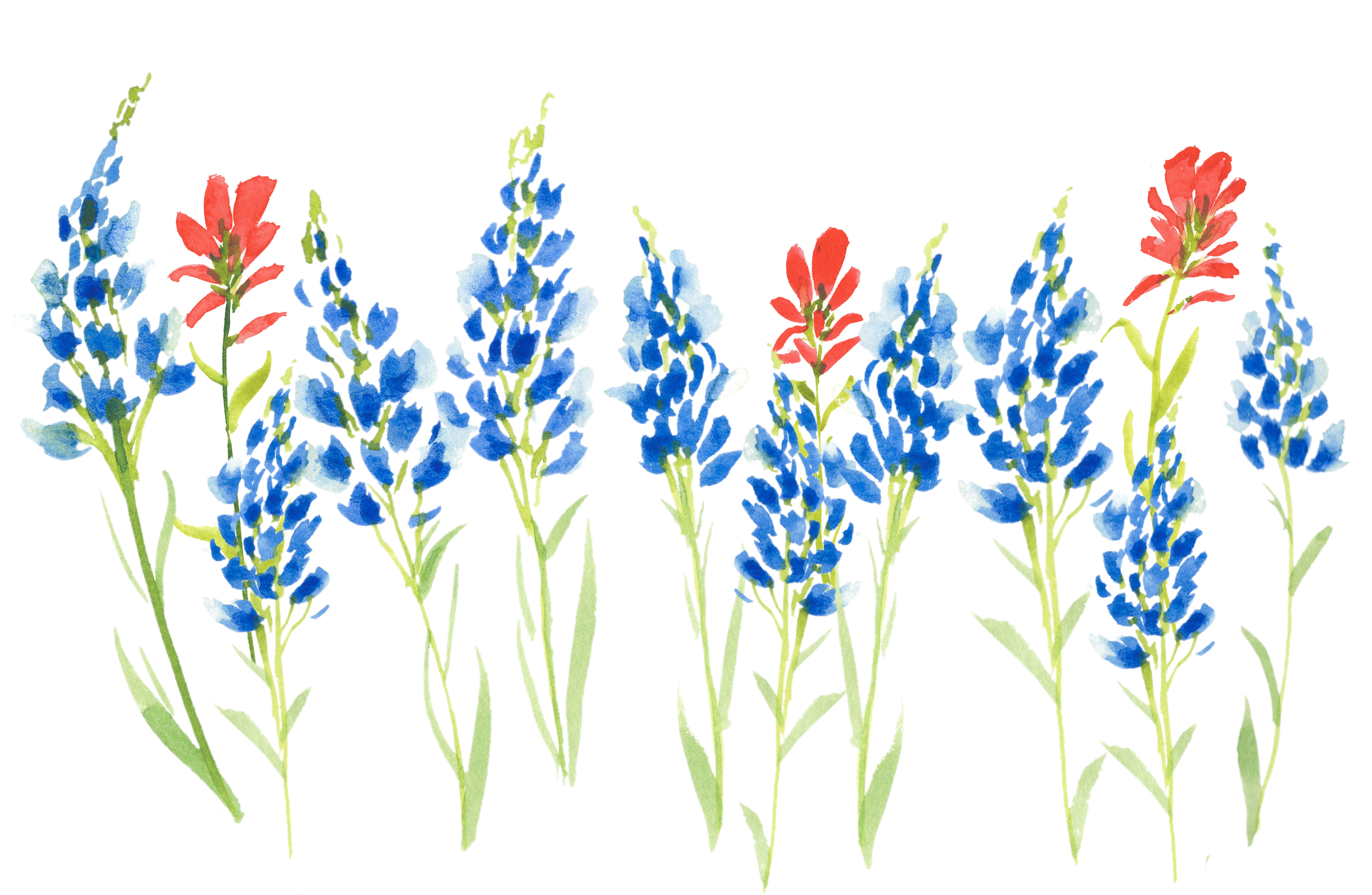 BluebonnetsPaints copy.png