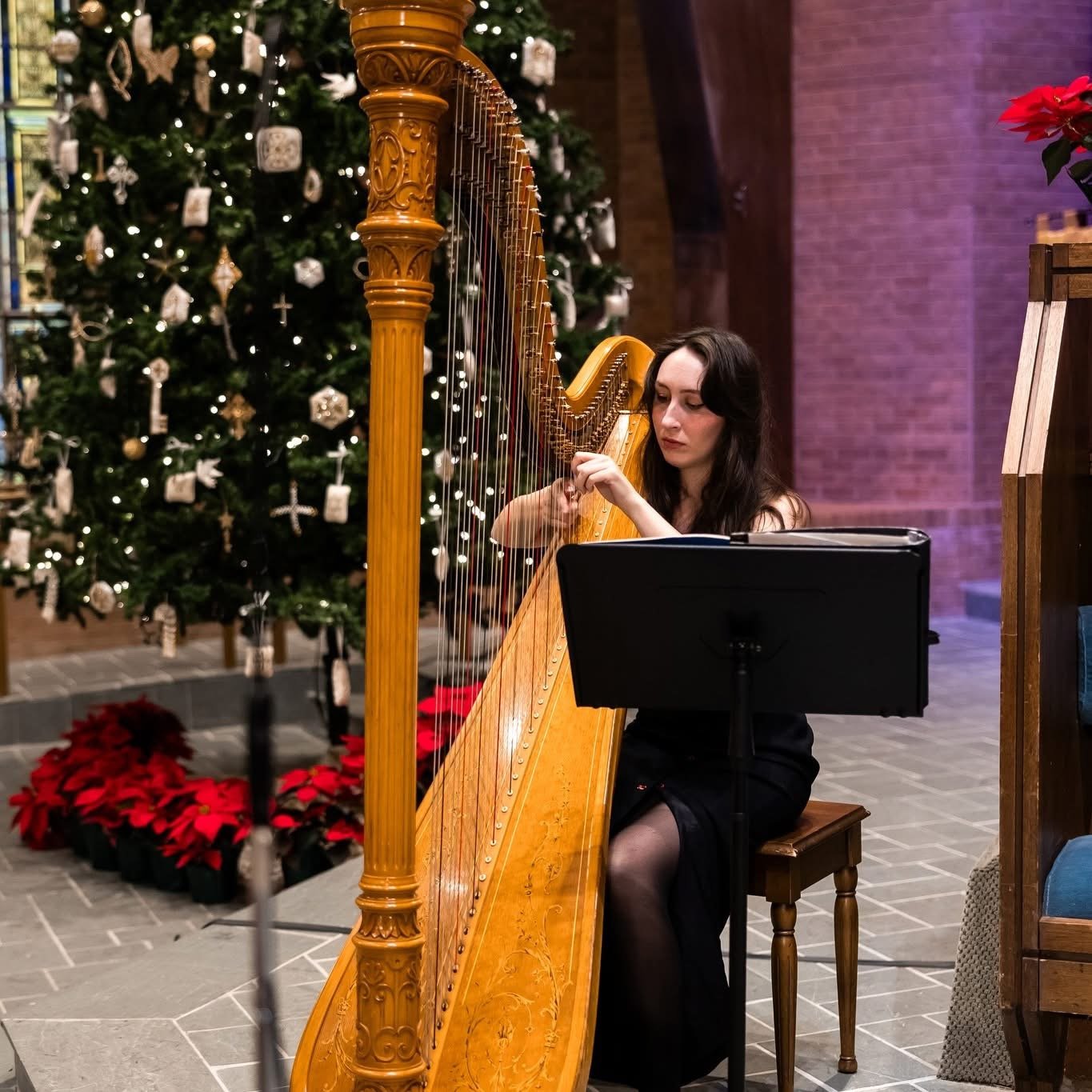 A woman playing a large wooden harp indoors, with a decorated Christmas tree and poinsettias in the background.