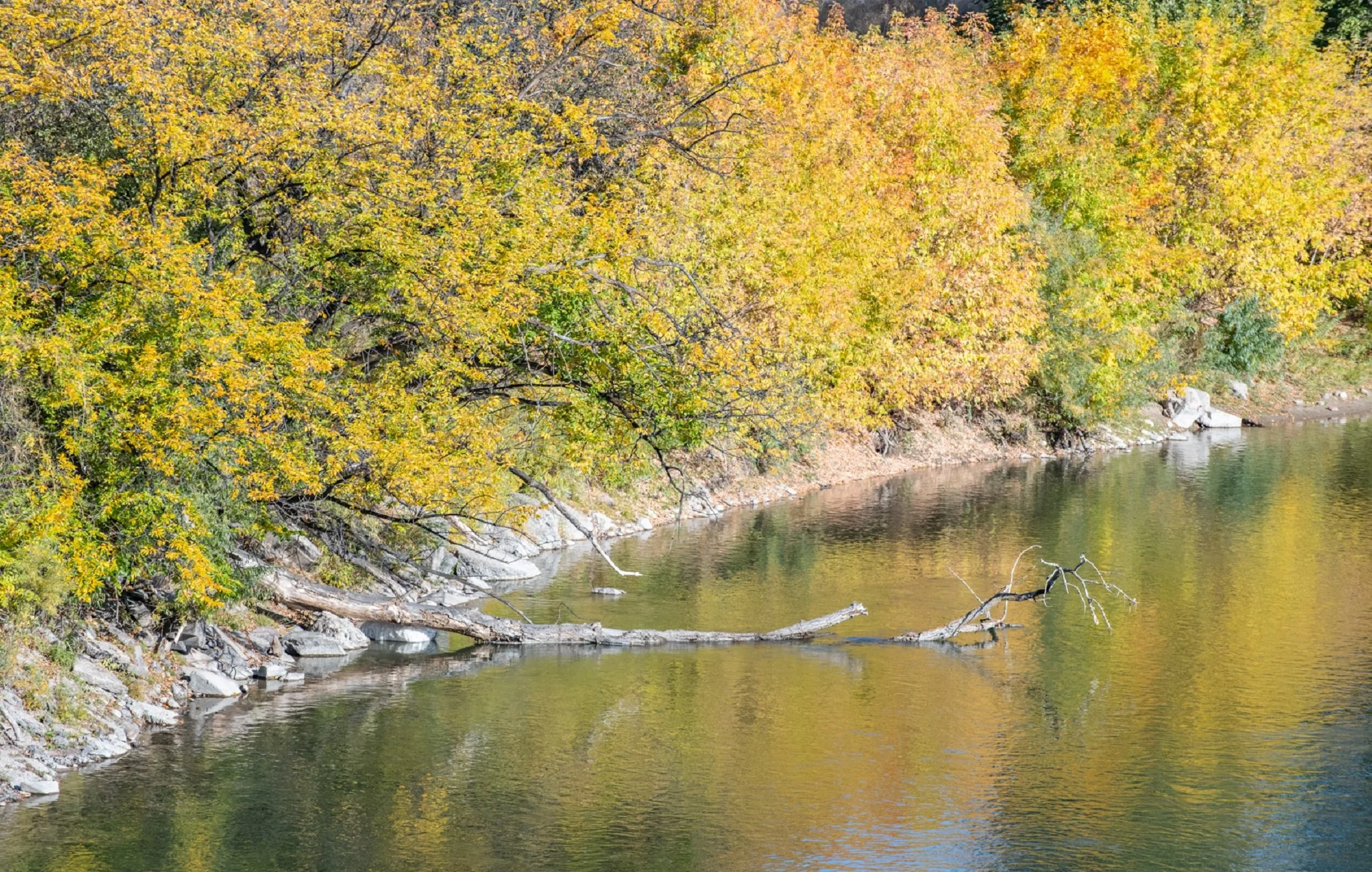 Missoula-93-2k.jpg