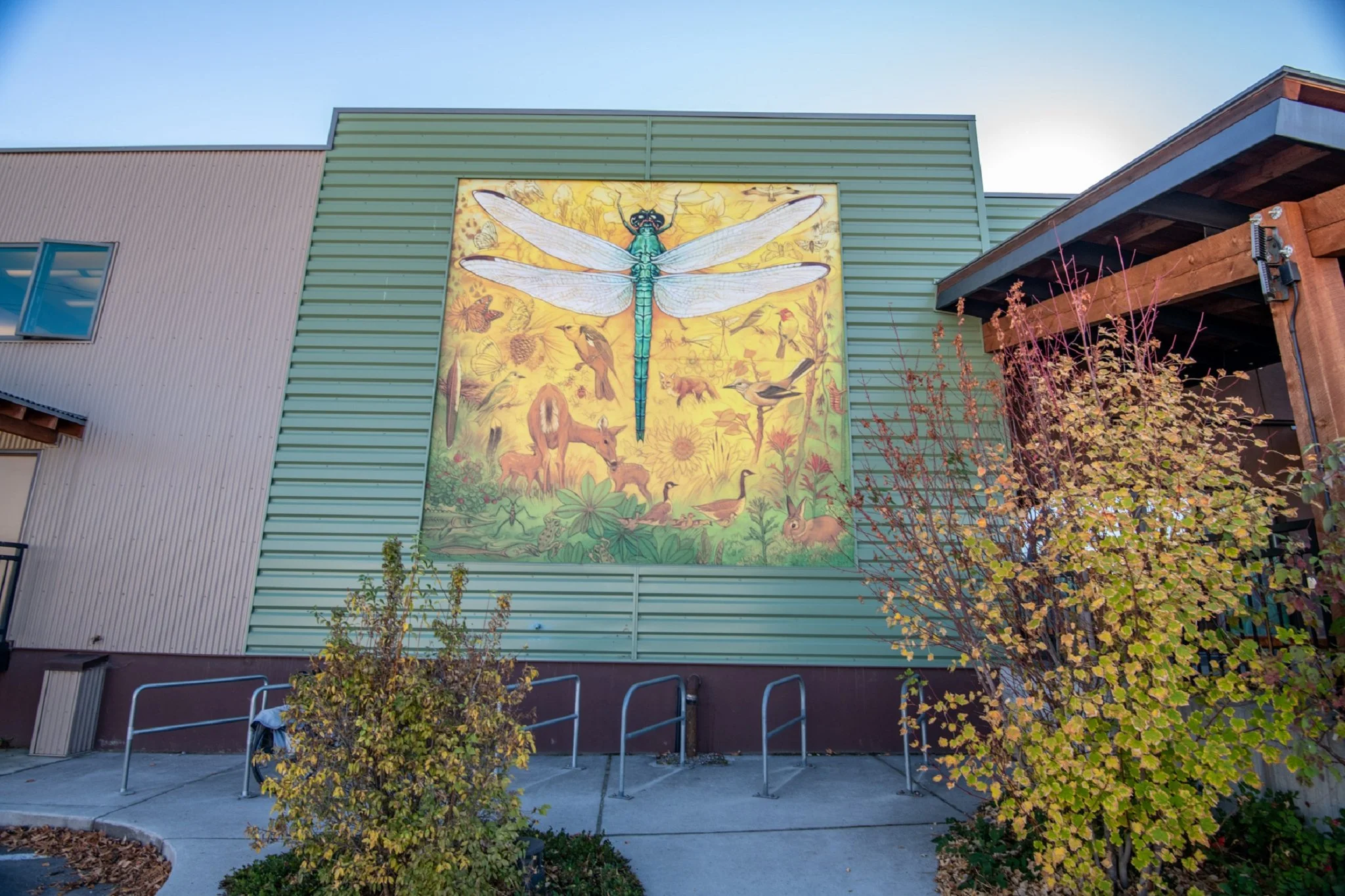 Missoula-8-2k.jpg