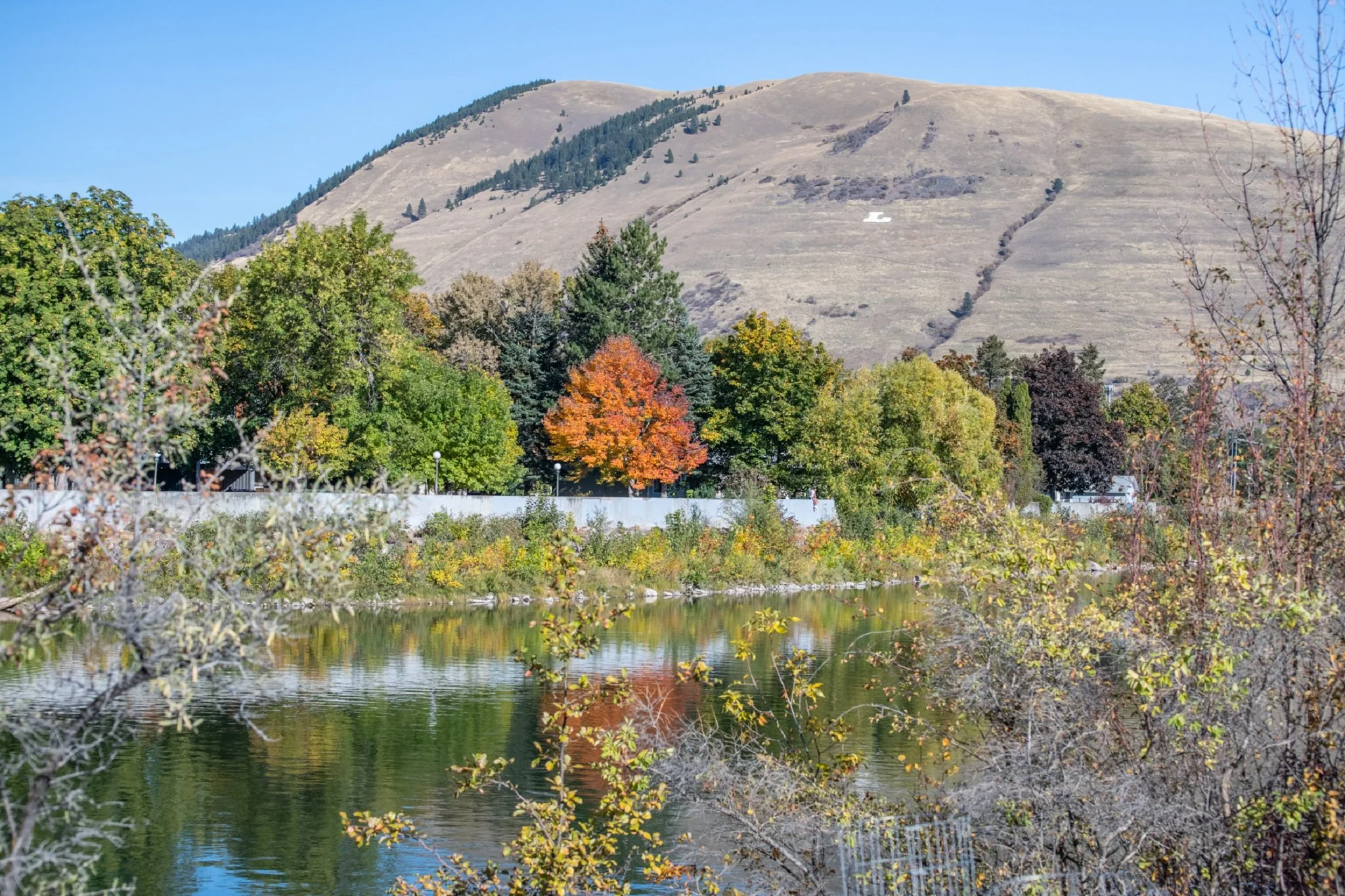 Missoula-49-2k.jpg
