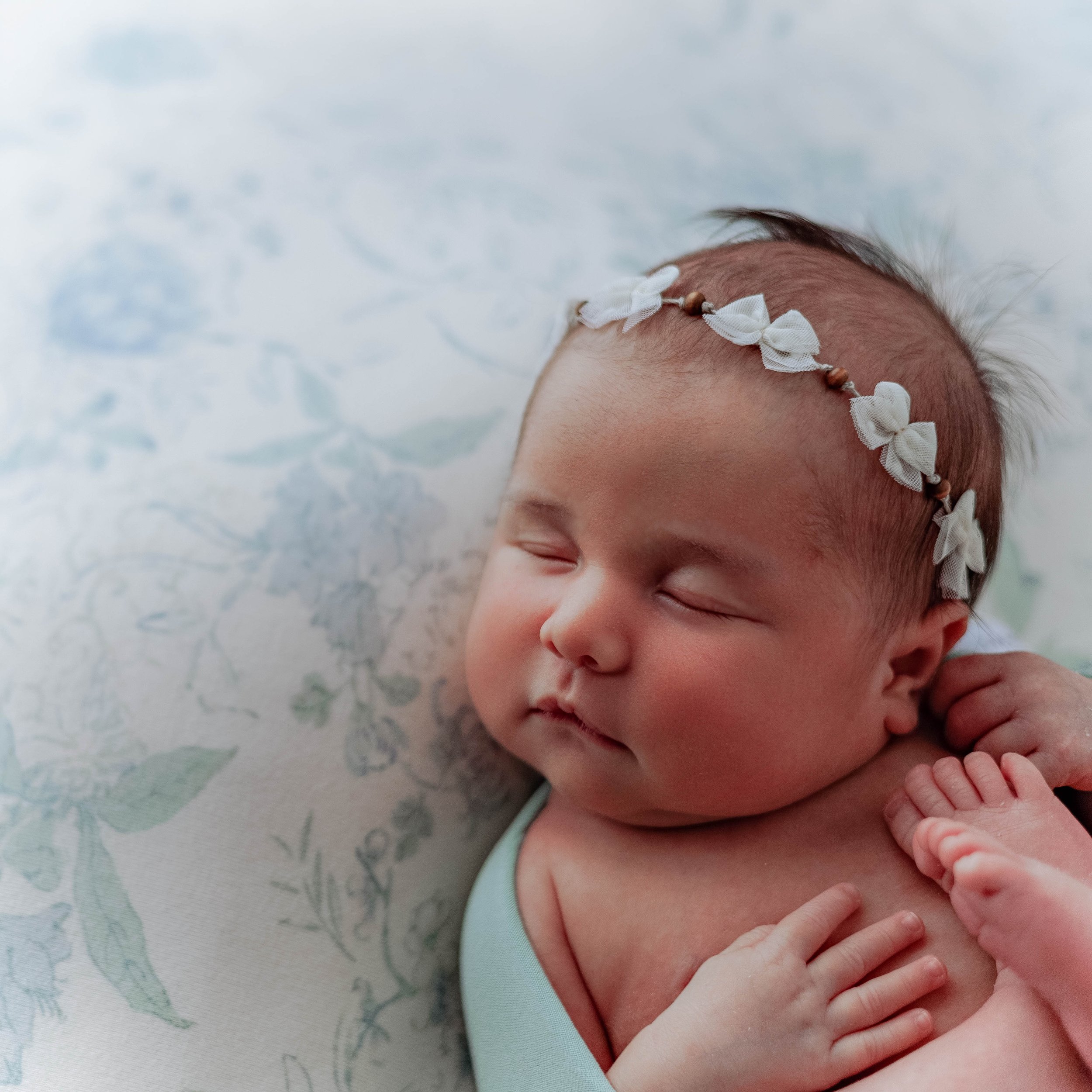 IMG_4815-Edit.jpg