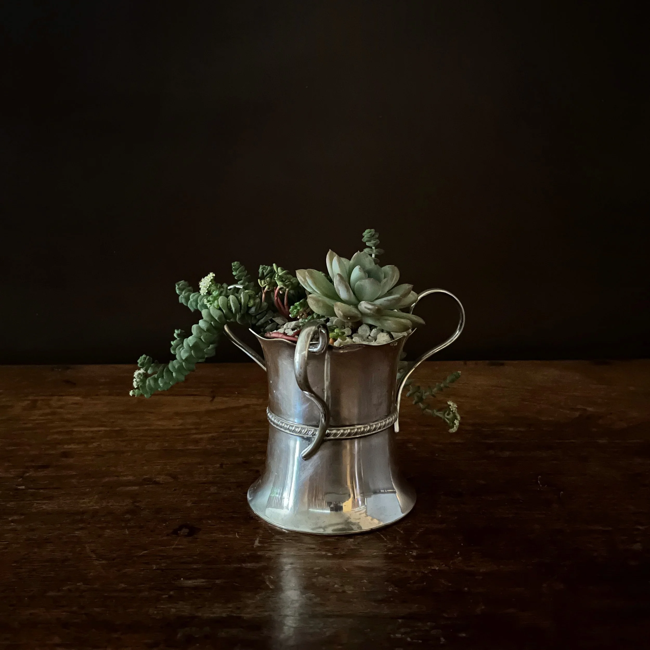 A small metal teapot-shaped container holding various succulent plants, placed on a wooden surface with a dark background.