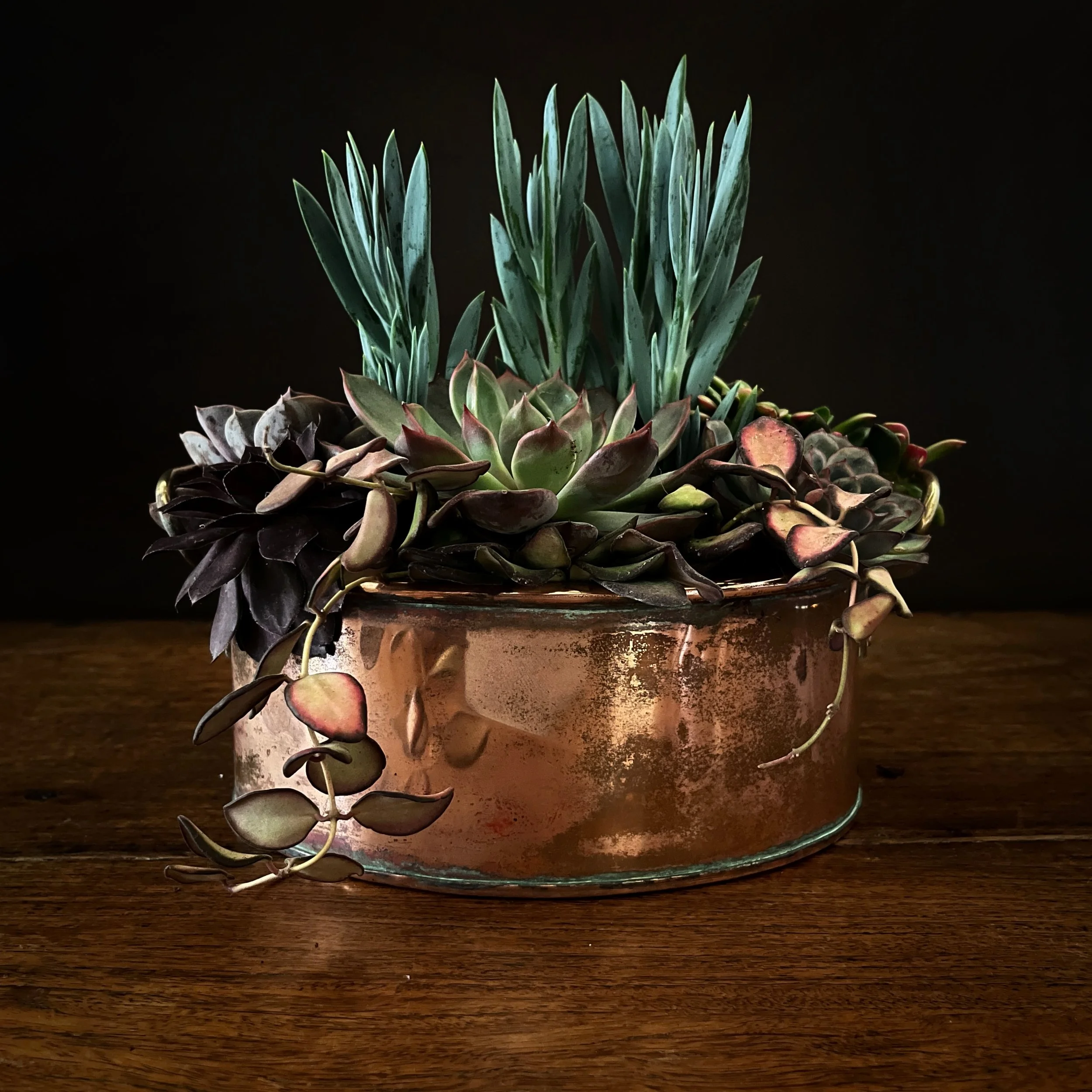 A copper pot filled with various succulent plants, including tall, blue-green Aloe Vera-like plants, purple-and-green trailing succulents, and rosette-shaped succulents, placed on a wooden surface against a dark background.