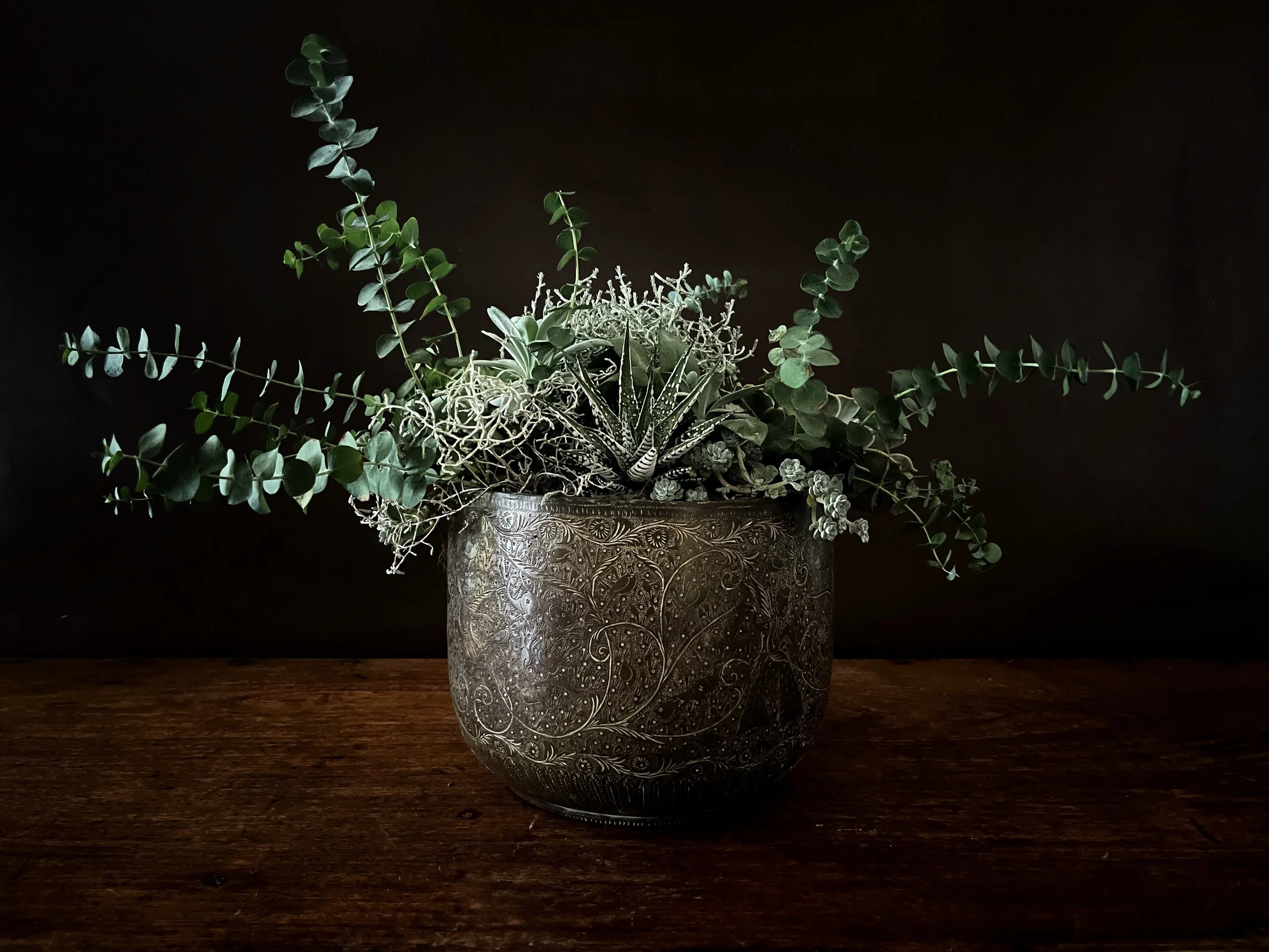 A decorative metal pot filled with various green leafy plants, including eucalyptus and succulents, sitting on a wooden surface against a dark background.