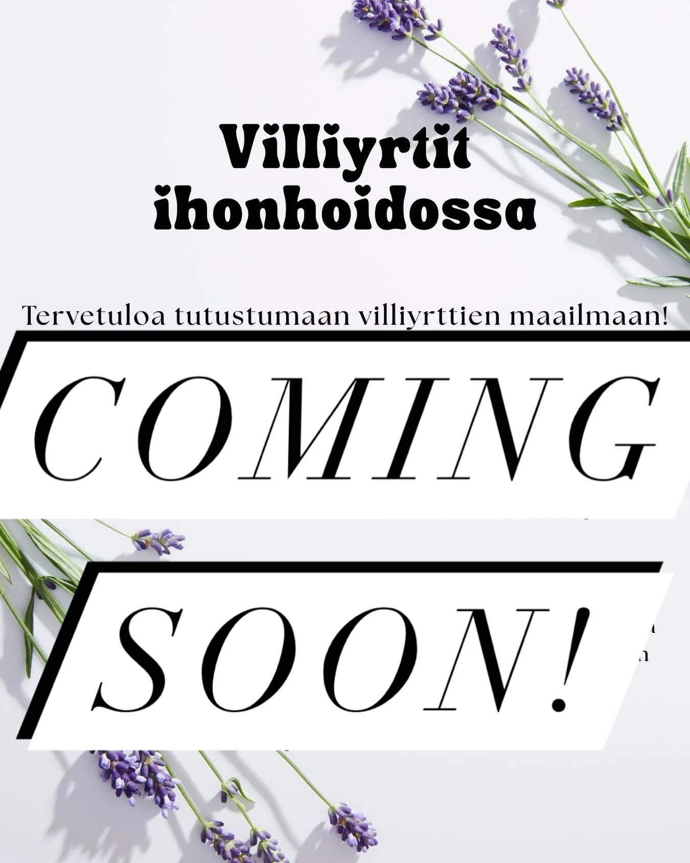 Okei okei siis oon niiiin innoissani tästä!!✨
Tulossa pian...Villiyrtti workshopit.💚🌱🌿
Vaihtelevilla teemoilla, myös tilauksesta omalle ryhmälle.💚
Kasvien parantava maailma on mun ikuinen hyperfokus ja oon niin iloinen, ett&
