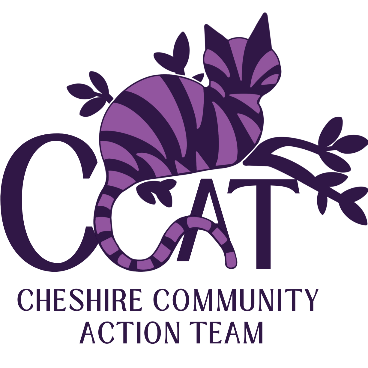 Cheshire Community Action Team 