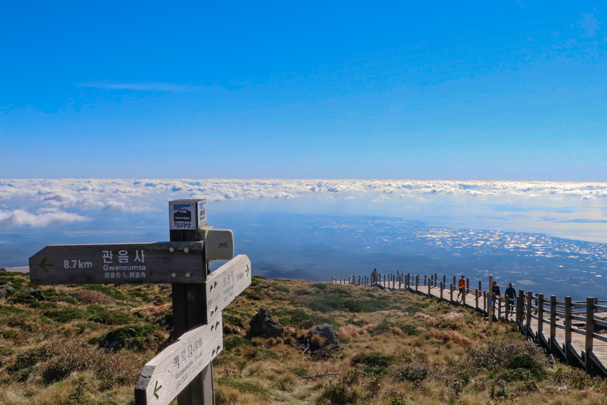 Jeju Mt. Halla Trip