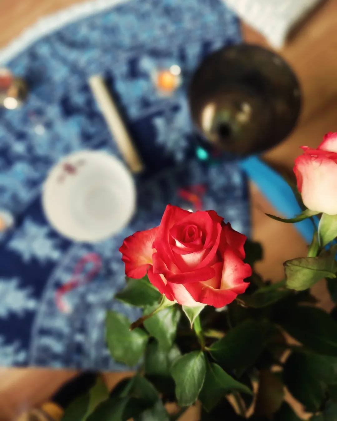 As rosas são presença contúnua