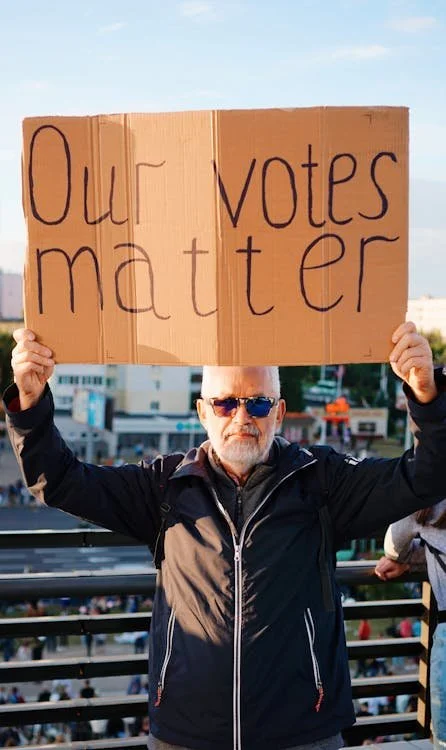 The Hall Monitor (because election integrity depends on it) 2